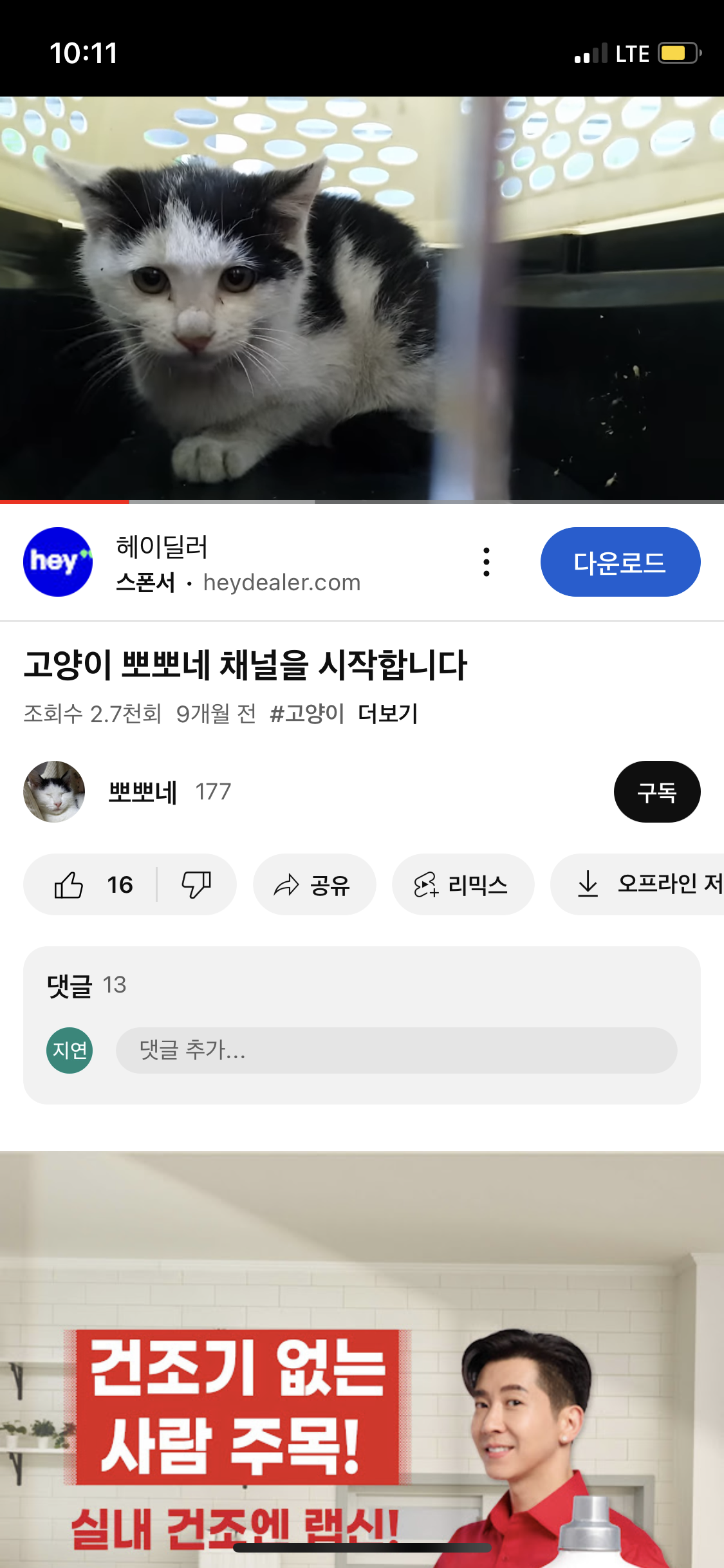 이 고양이를 구해주세요