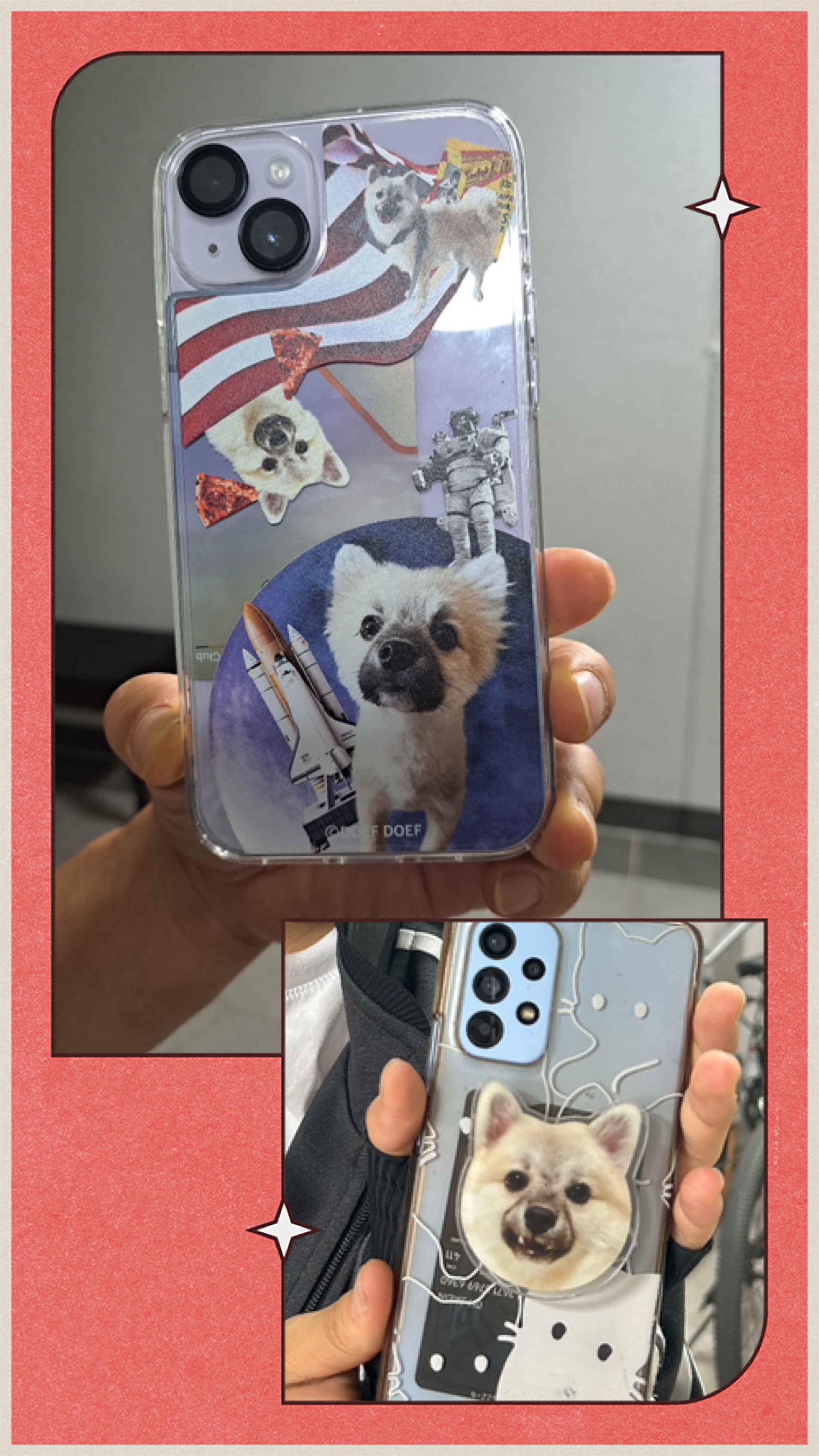 후추(보령번식장-보령이) 온지 세달째! 후기입니다.
