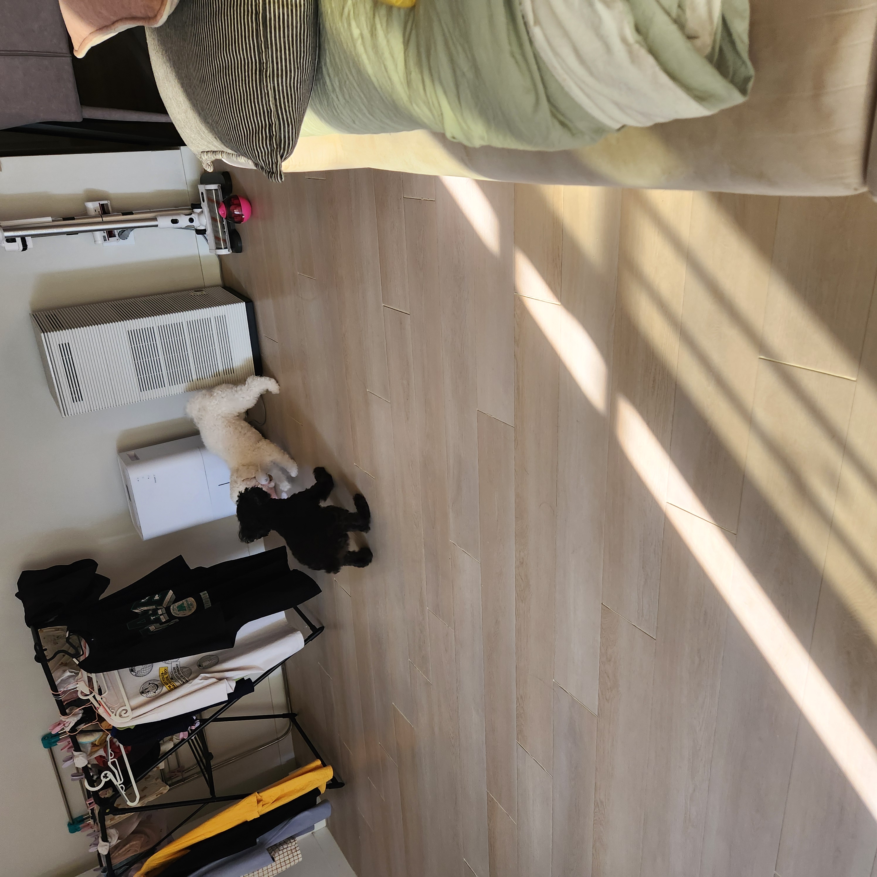 여들이 (깜비) 세번째 이야기