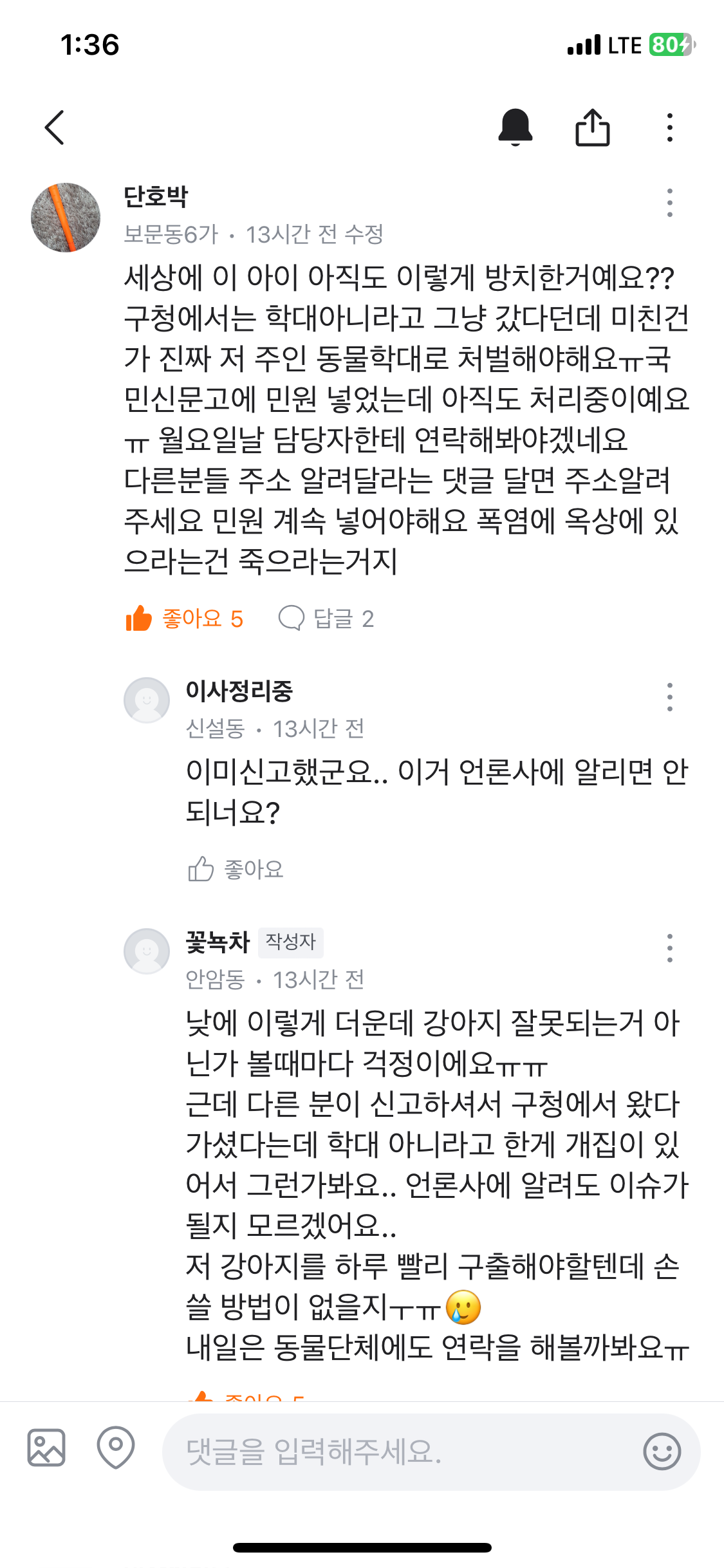 옥상에 진돗개 방치