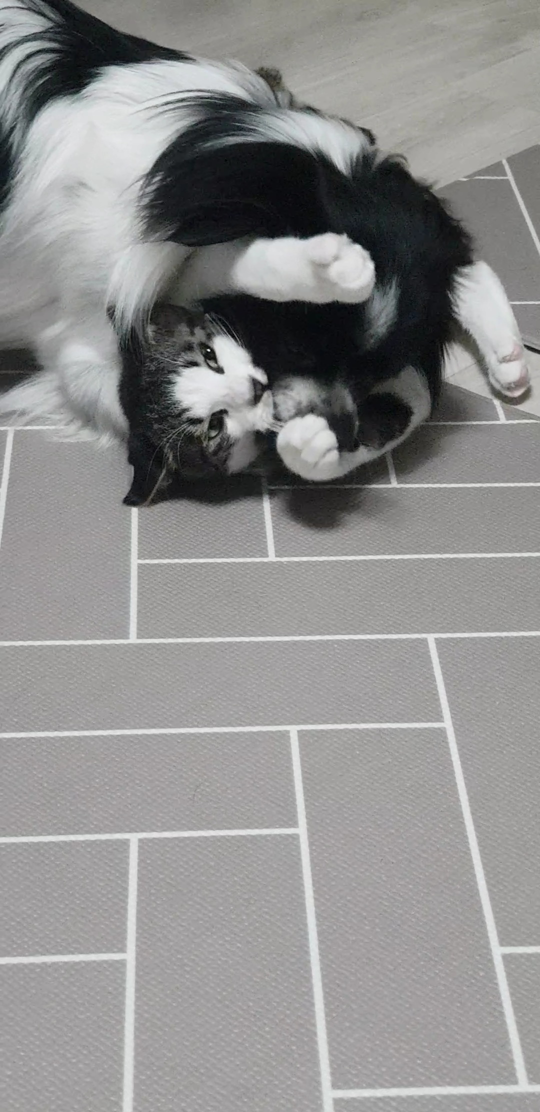 자이와 함께한 3년