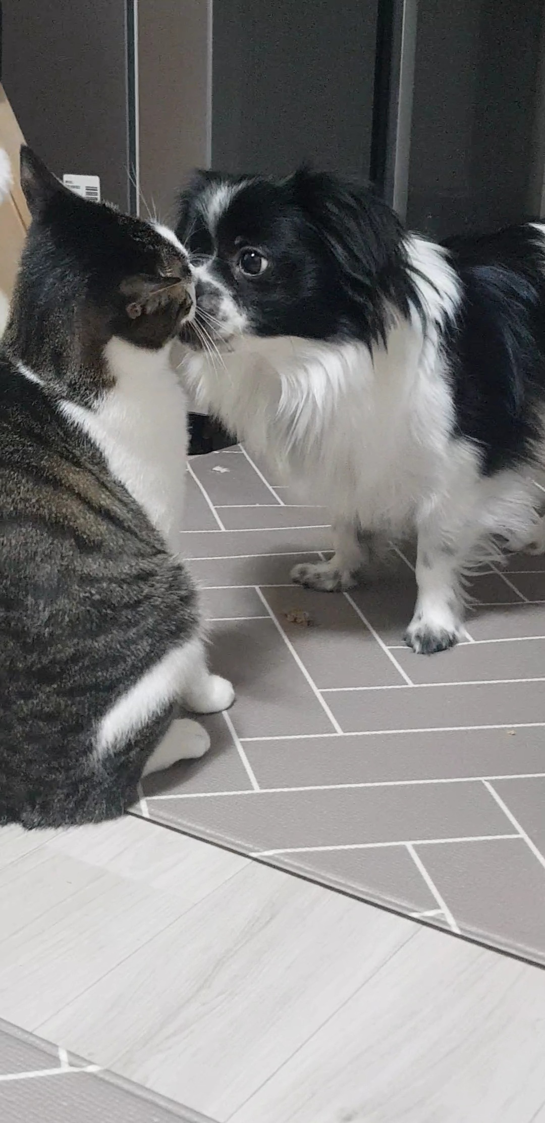자이와 함께한 3년