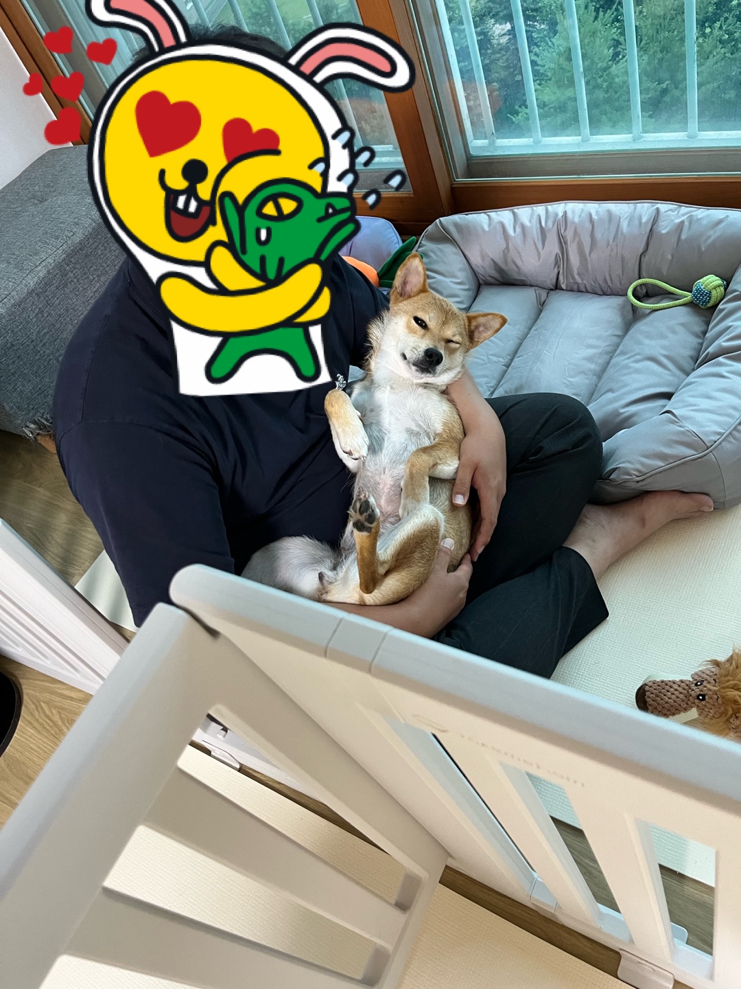 금동이 (쫄이) 입양 한달 후기 