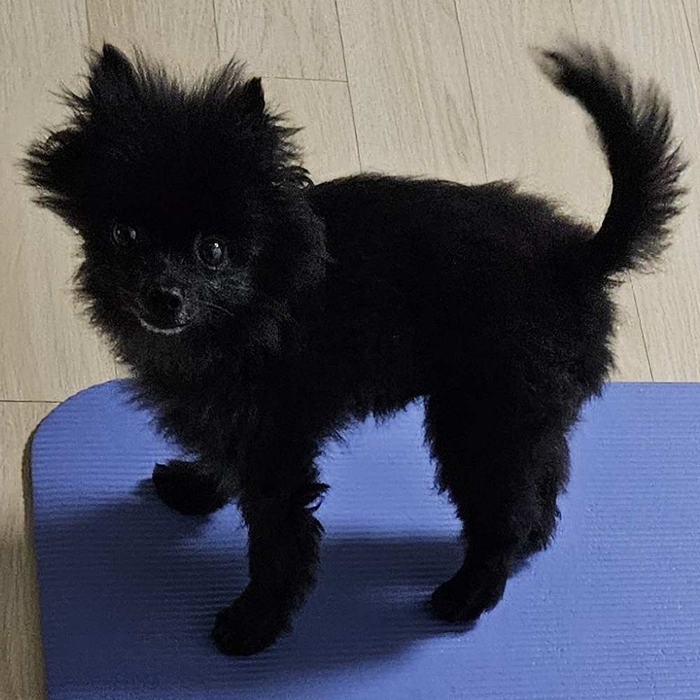 까곰이 한달
