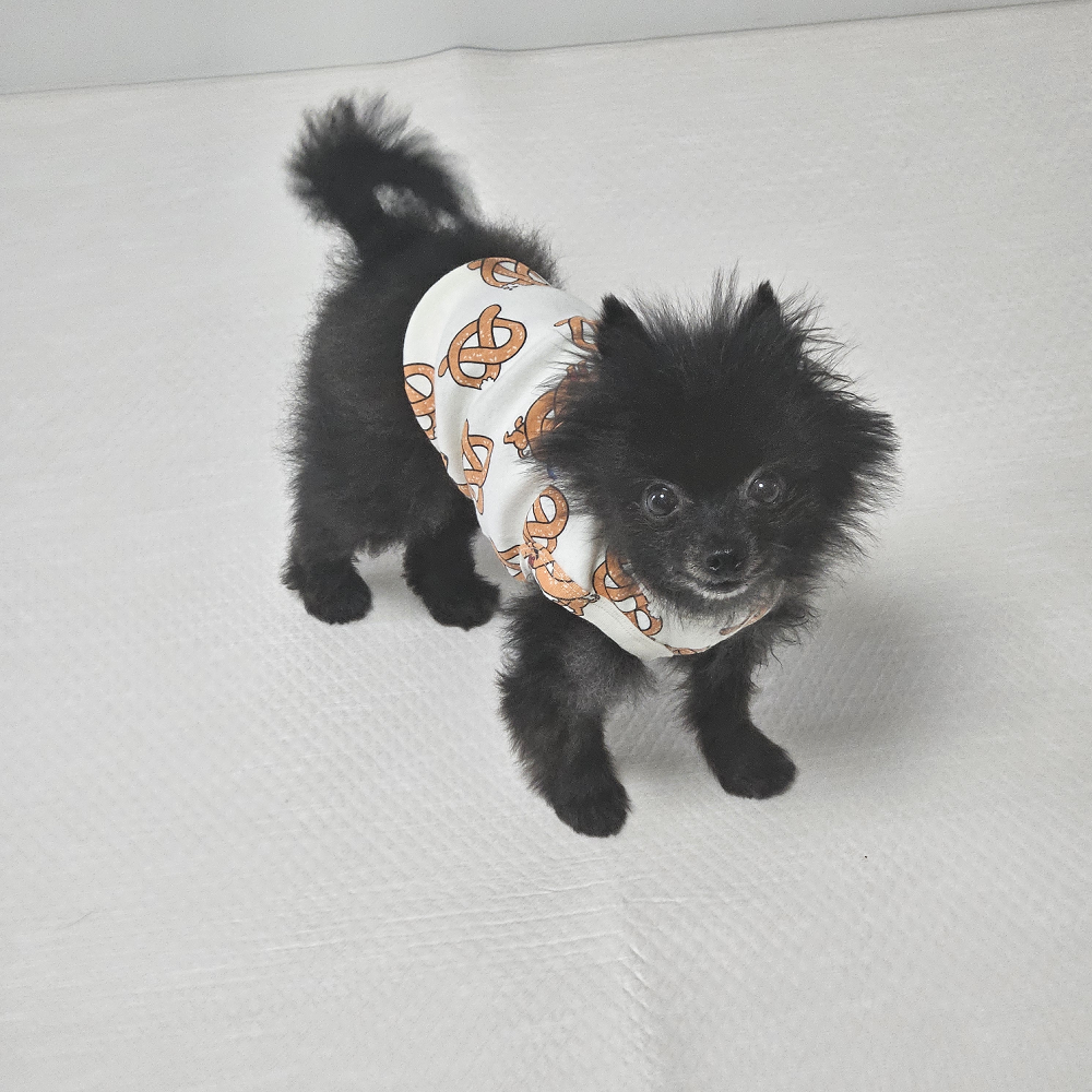 까곰이 한달