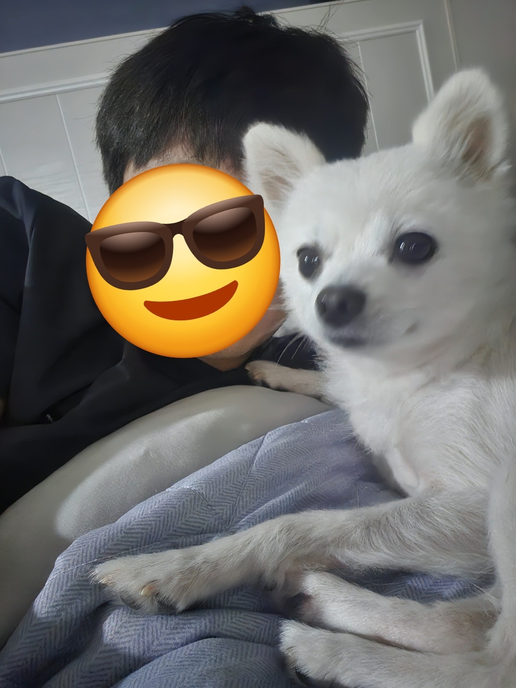 뽀미(구 뽀얀) 벌써 3개월 됬네요