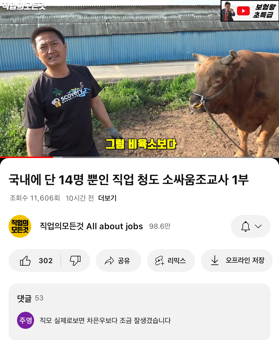 청도소싸움 조교사를 직업이라고 소개하는 컨텐츠