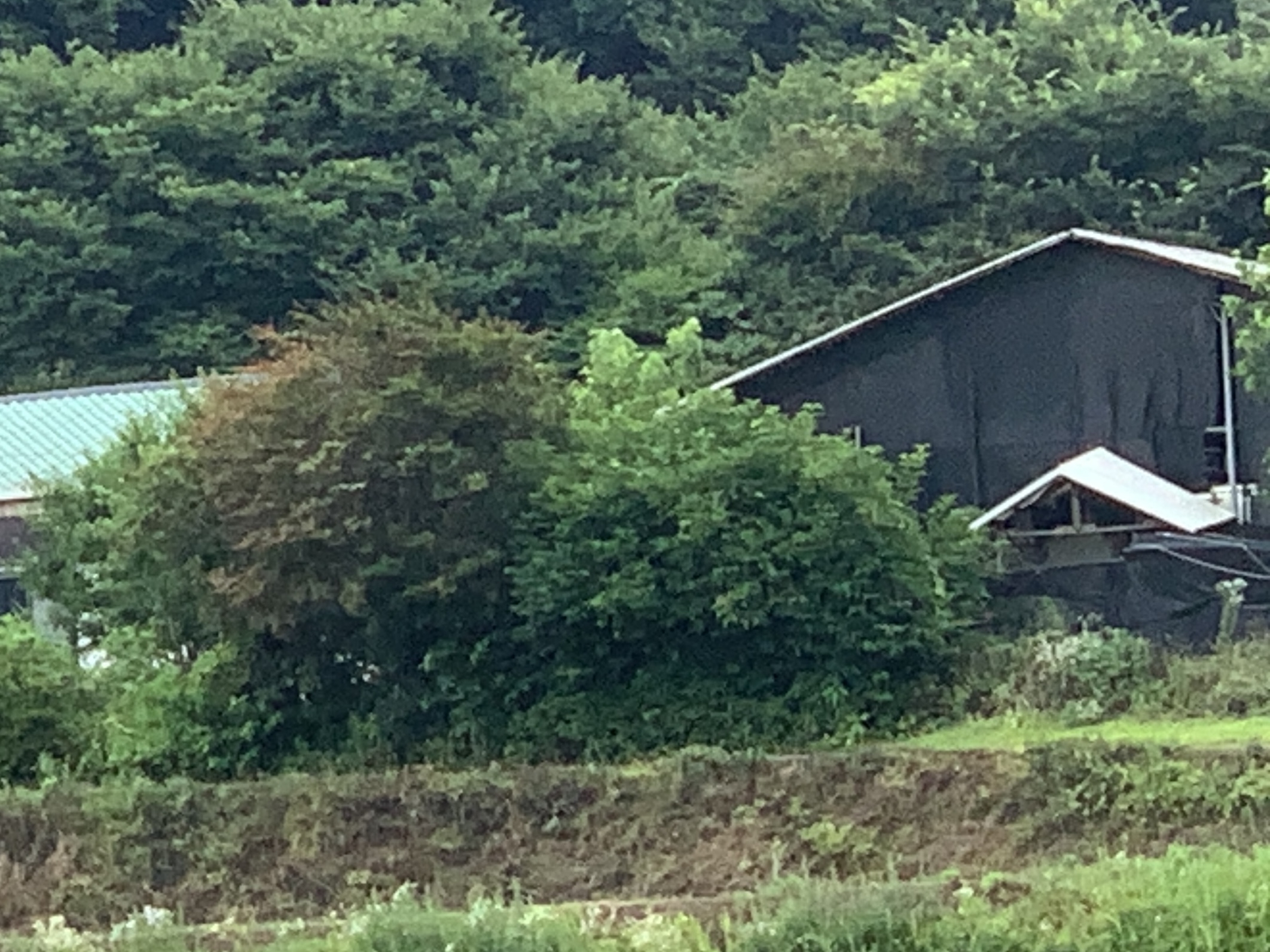 개농장 신고