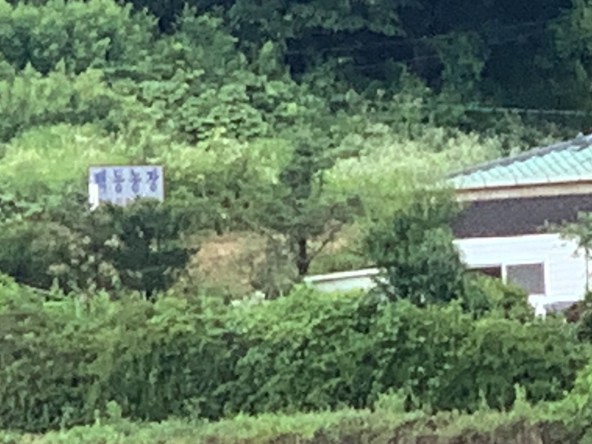개농장 신고