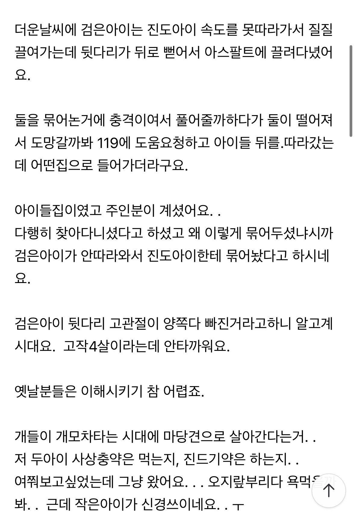밧줄로 두마리를 묶어놓은 상태 뒷다리가 모두 빠진 아이가 질질 끌려다니고있어요 