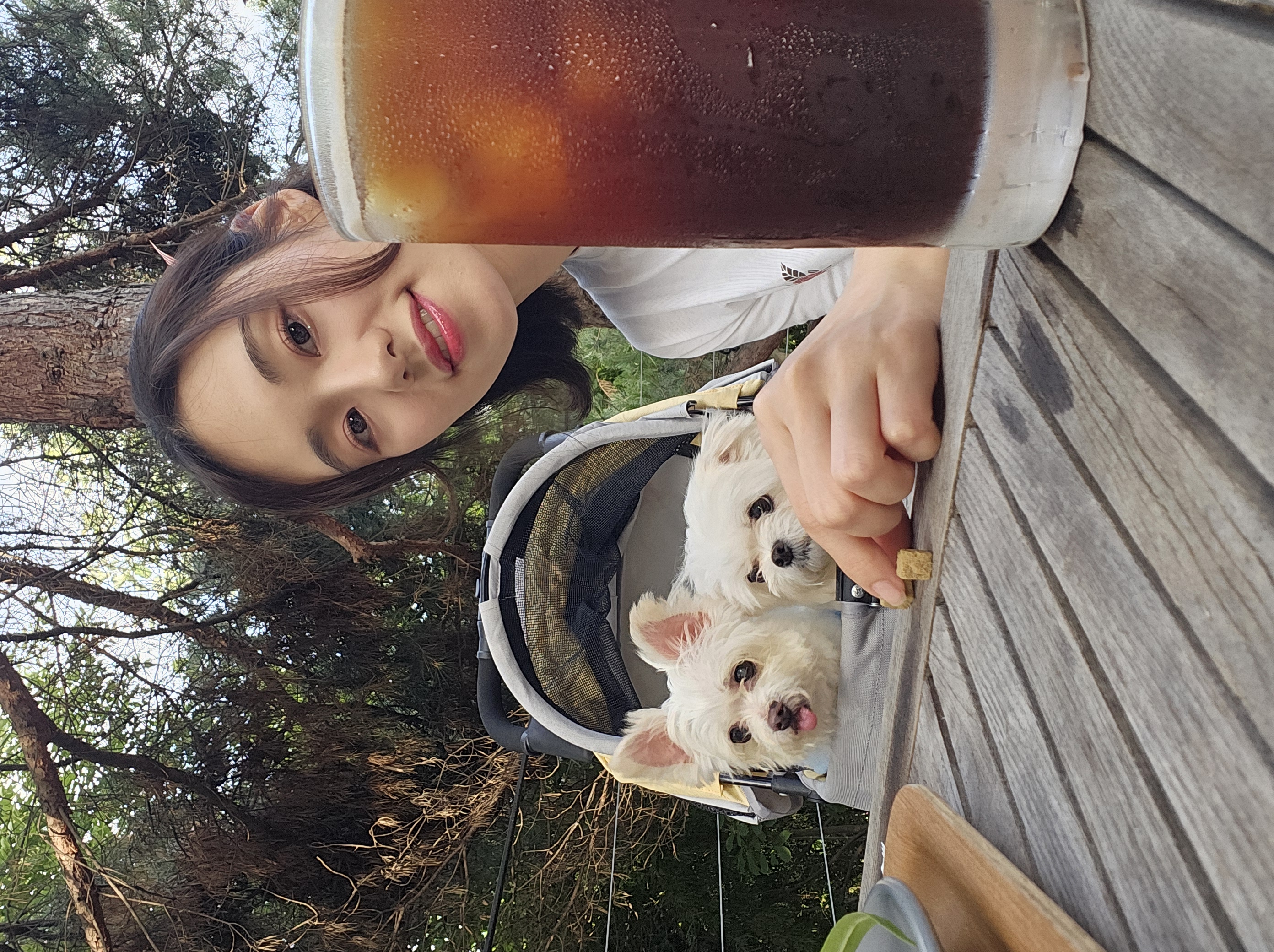 [임보] 마리와 맞는 여름~