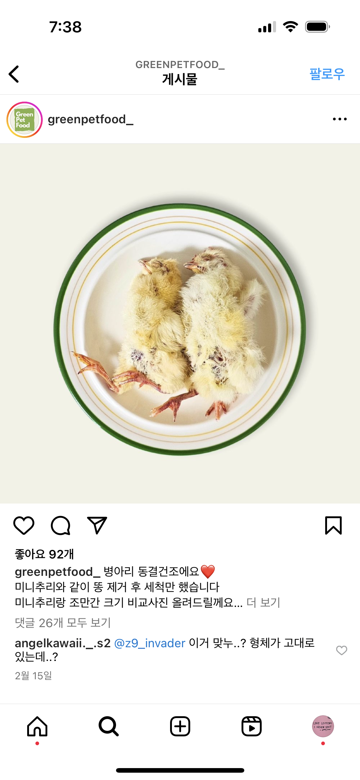 병아리 형태 그대로 판매
