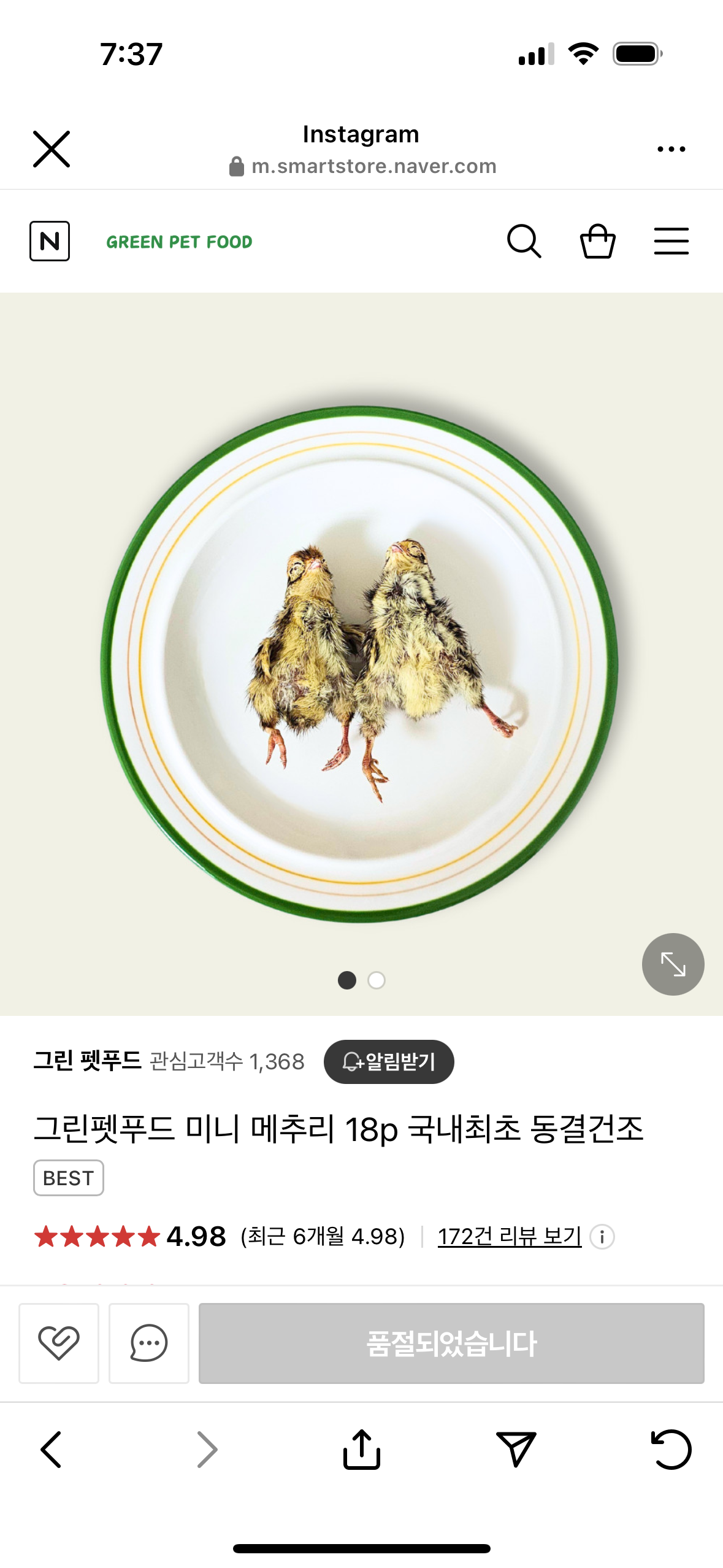 병아리 형태 그대로 판매