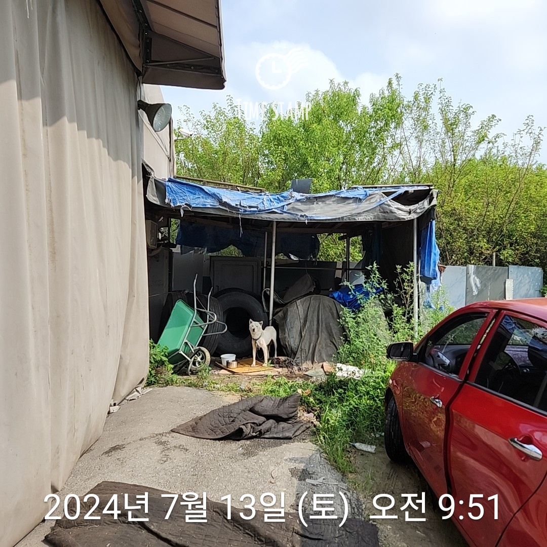 이렇게 방치하는 것도 학대입니다.