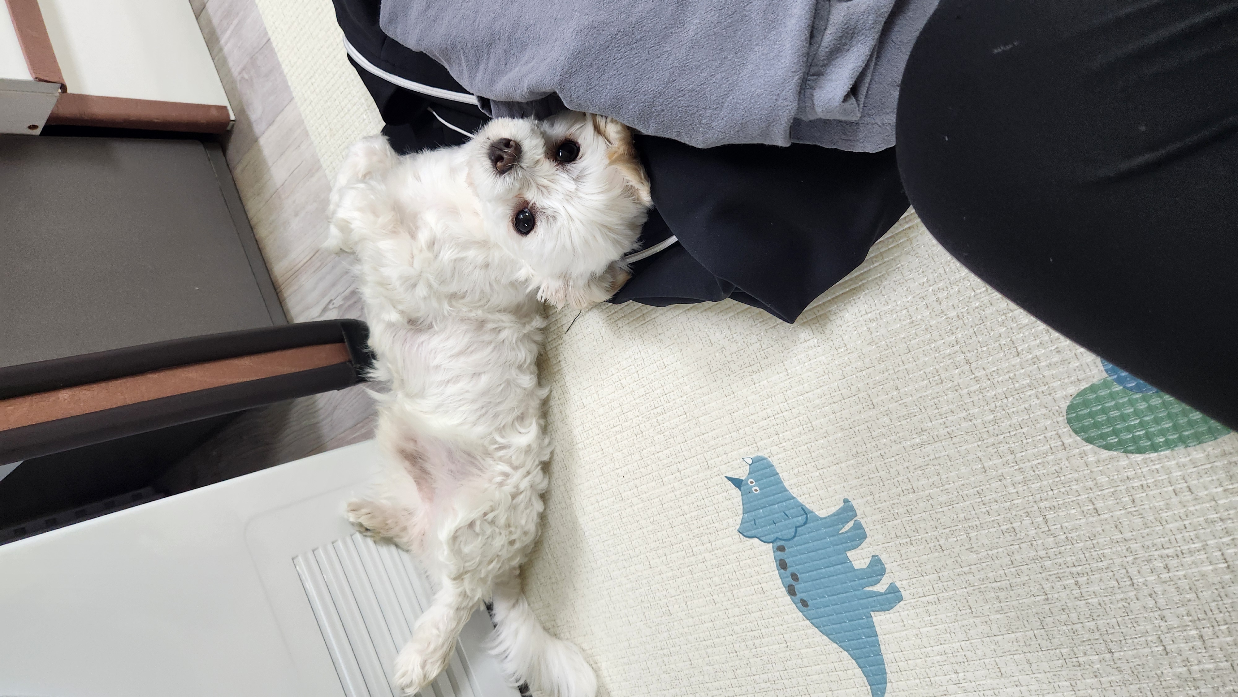 더덕이♡