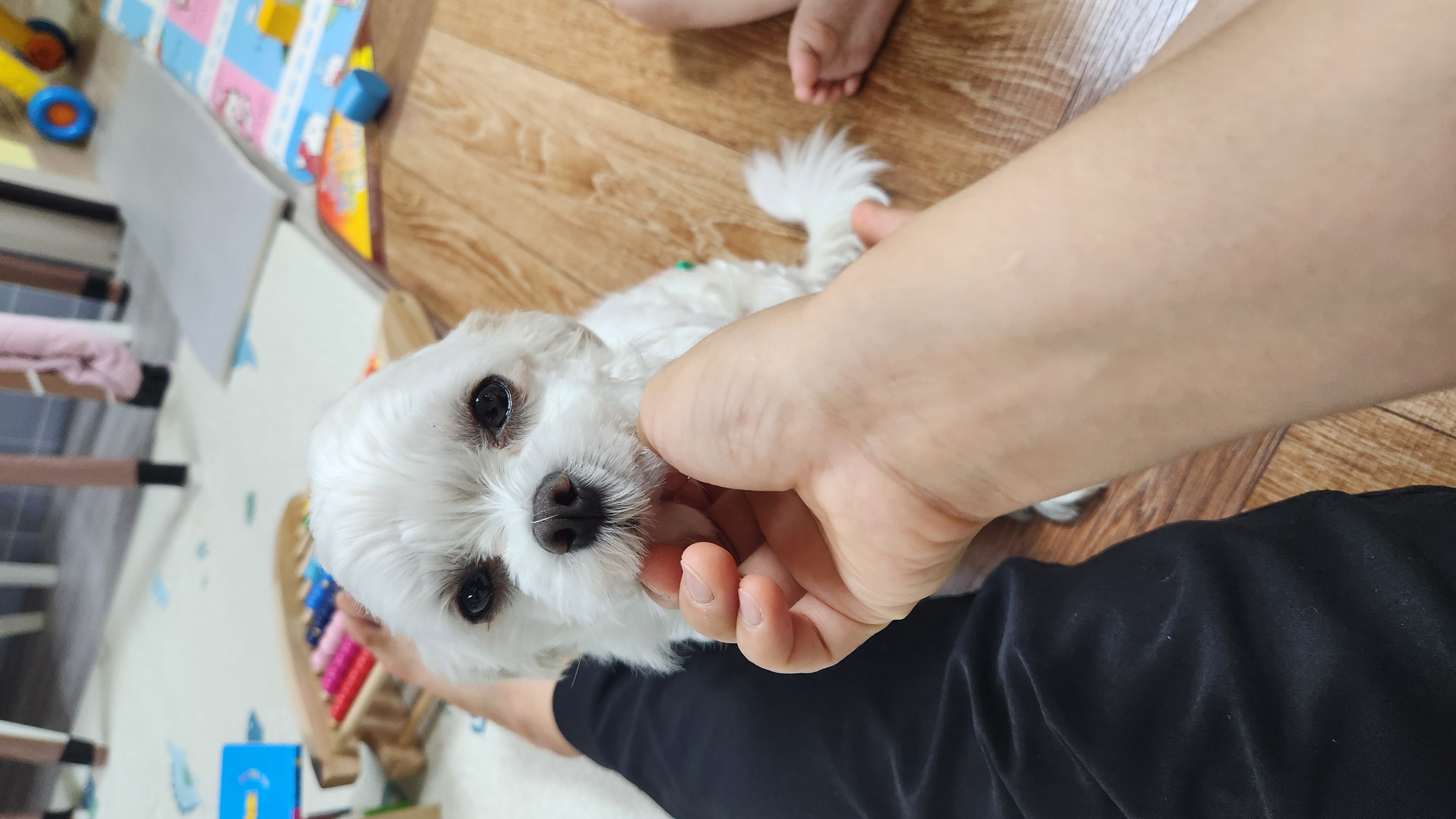 더덕이♡