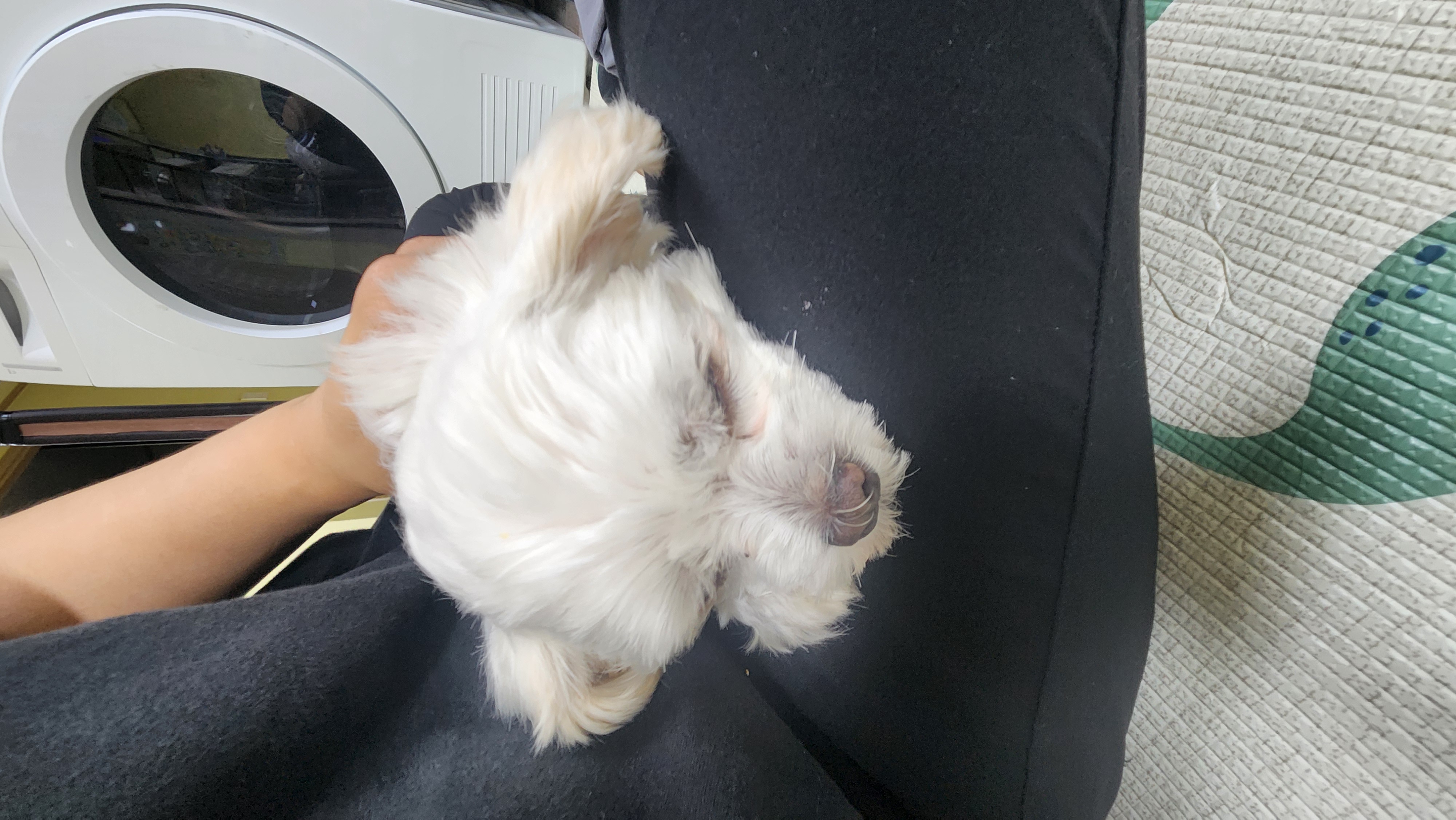 더덕이♡