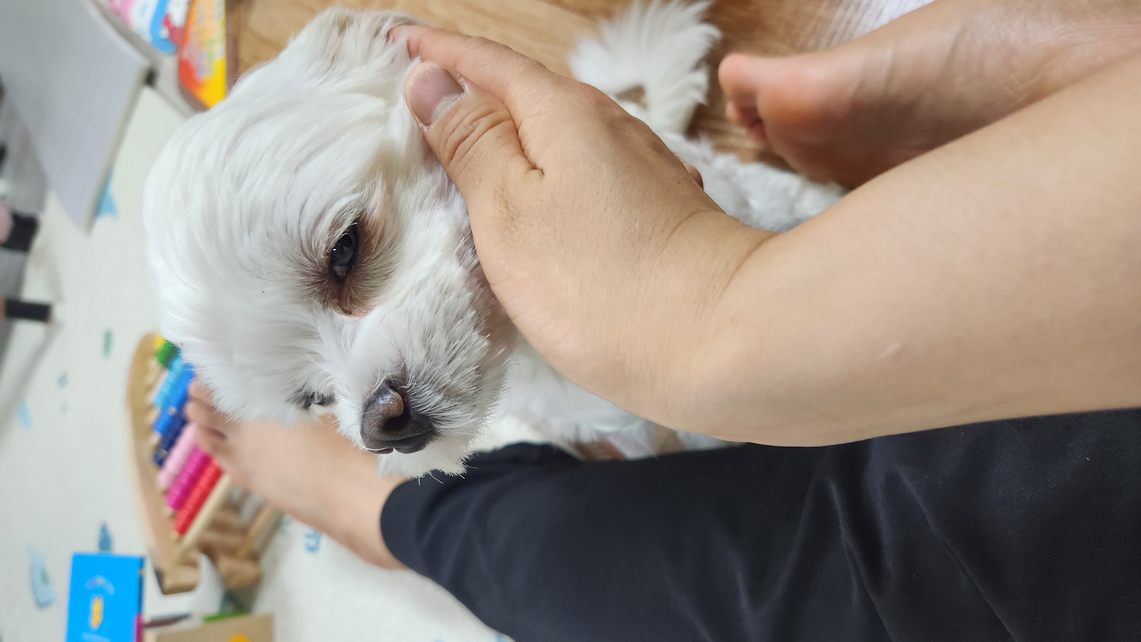더덕이♡