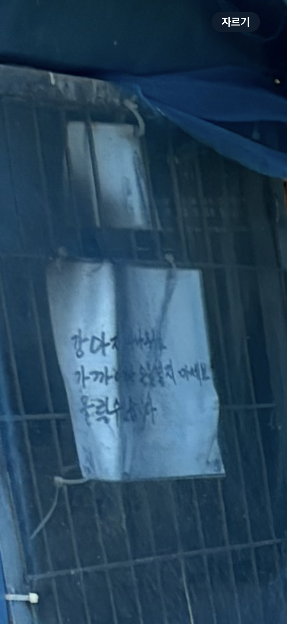 사육환경