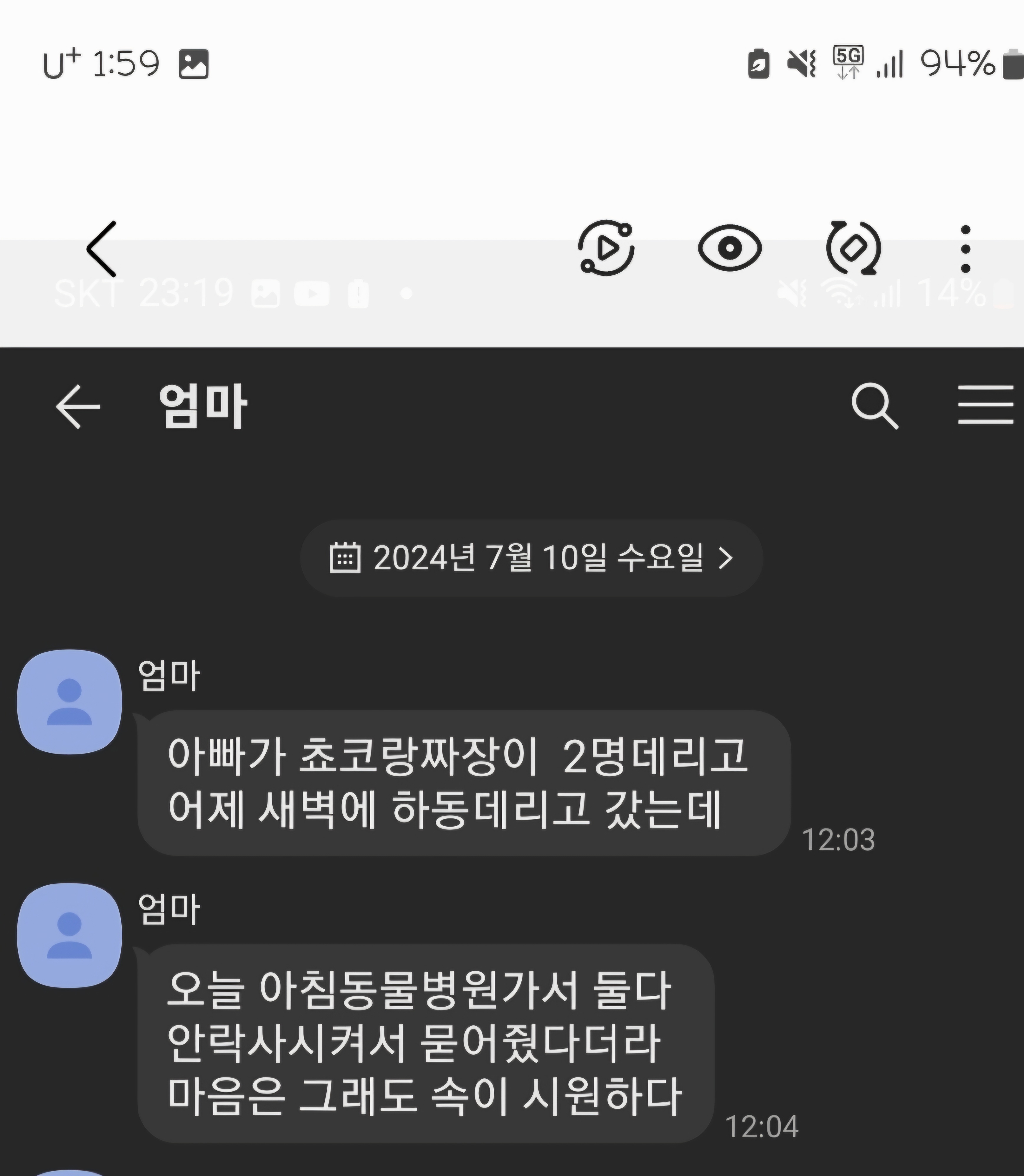 몇일 강아지들을 맡겨주겠다던 부모가 저몰래 모두 안락사시켜 땅에묻어버렸습니다 도와주세요.