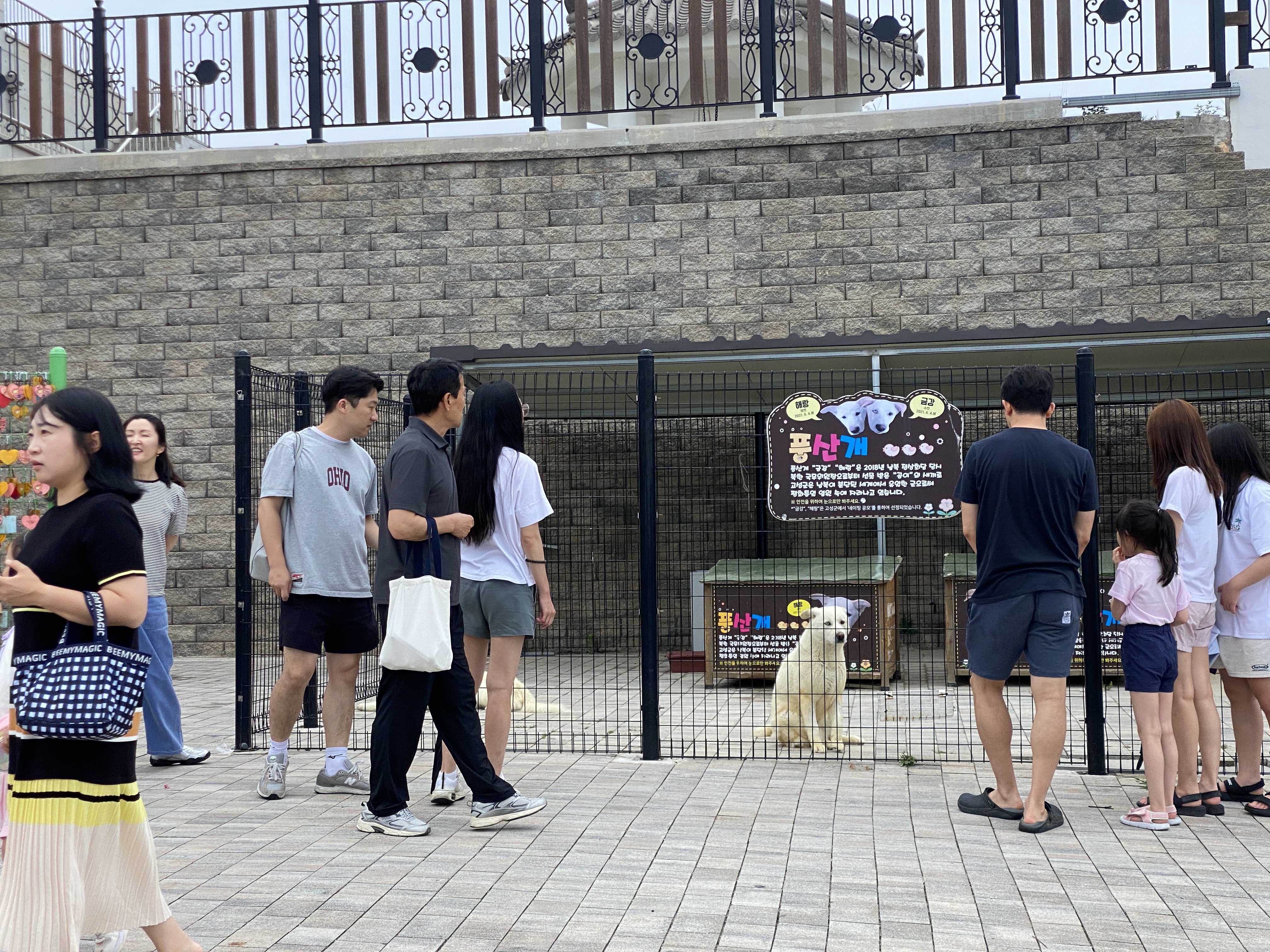강원도 고성군 고성통일전망타원 금강, 해랑의 사육환경