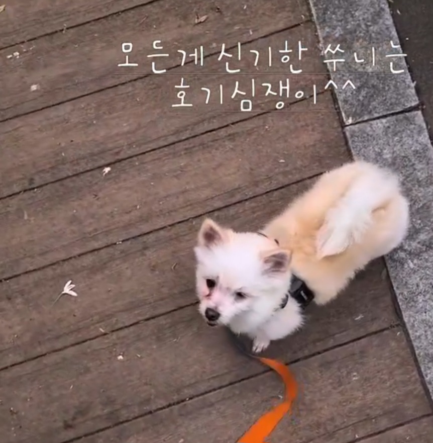임보1년6개월차