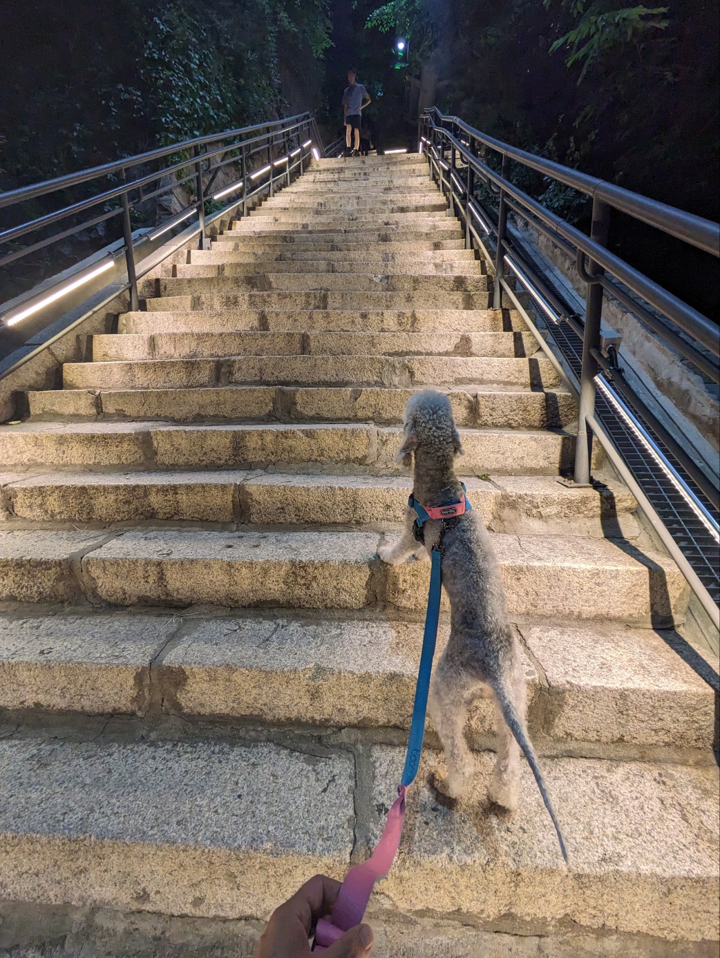라미(구 순양이) 한식구 되어 취향도 닮아! 