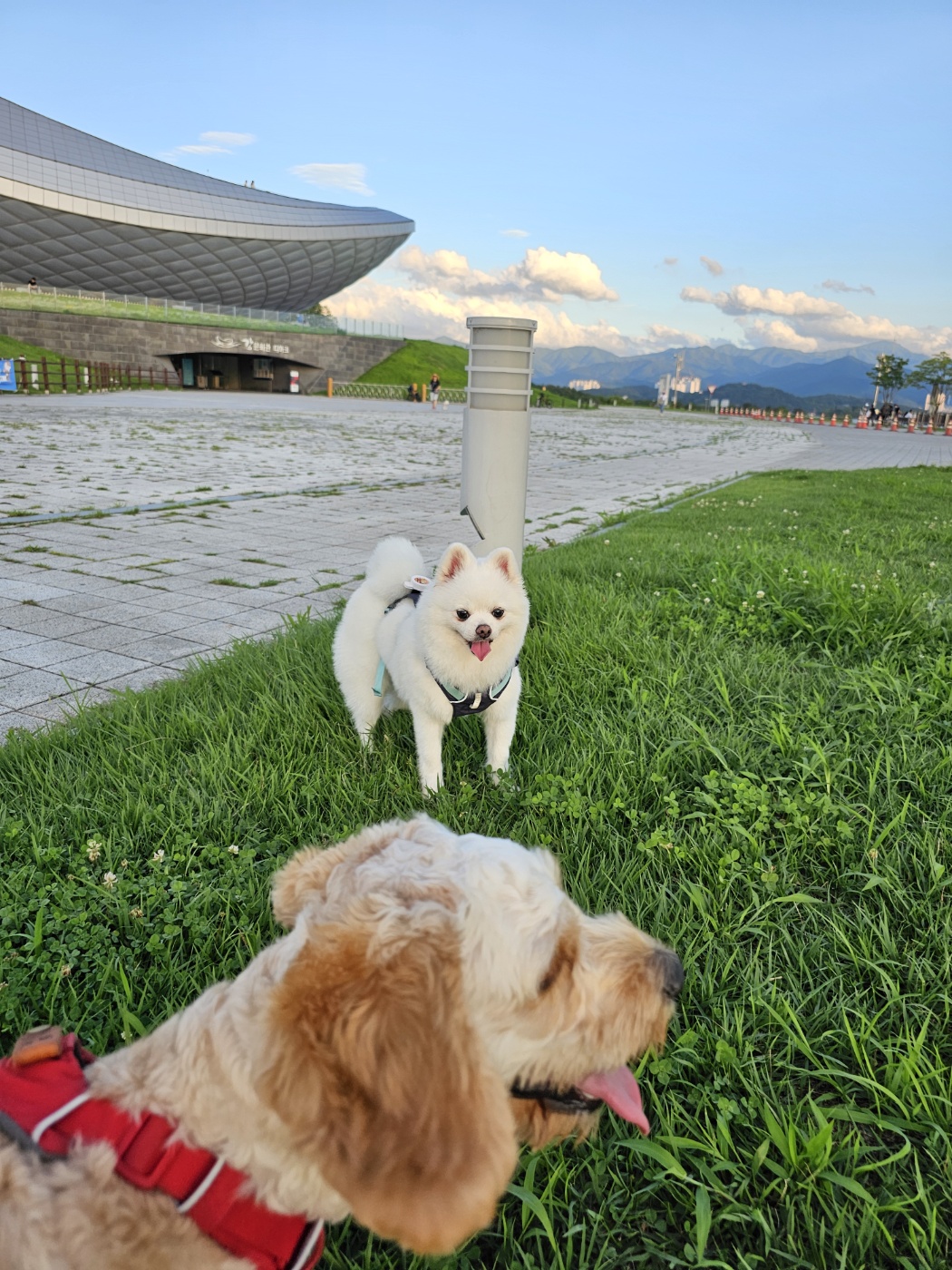 안녕하세요.  저 햇살(뽀동)이예요