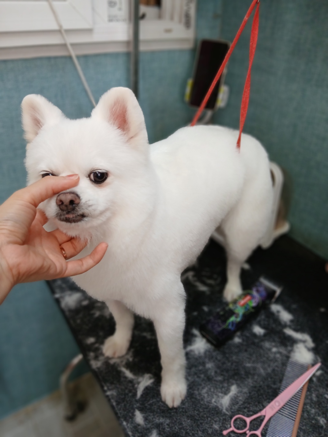 안녕하세요.  저 햇살(뽀동)이예요