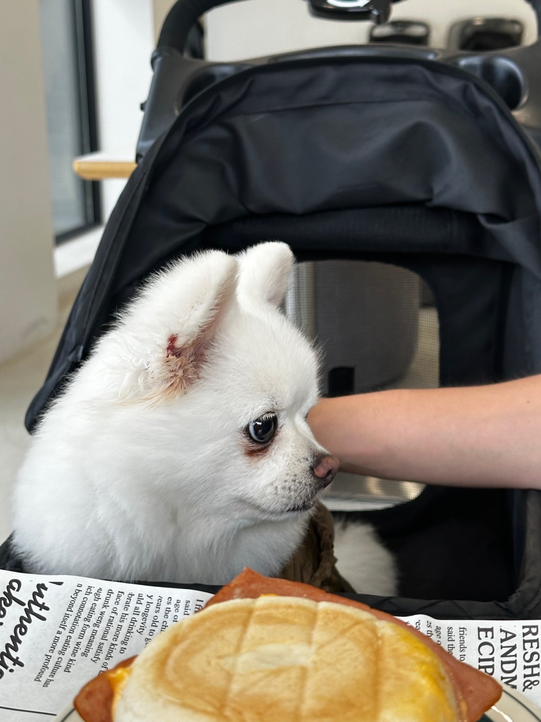 안녕하세요.  저 햇살(뽀동)이예요