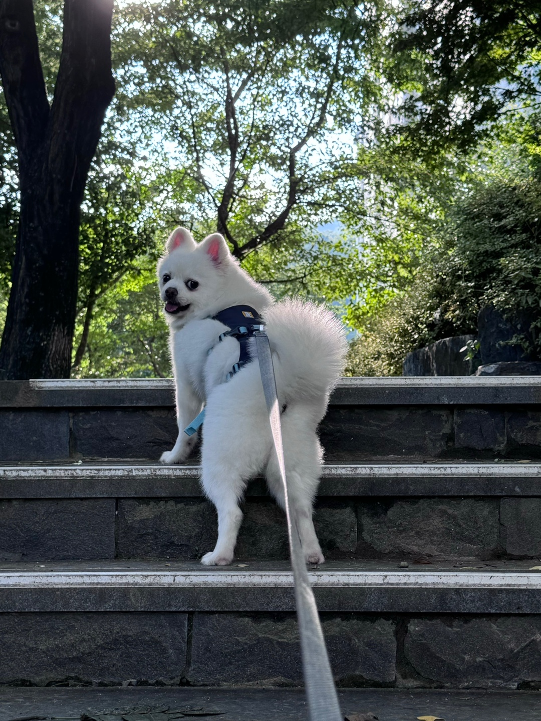 안녕하세요.  저 햇살(뽀동)이예요