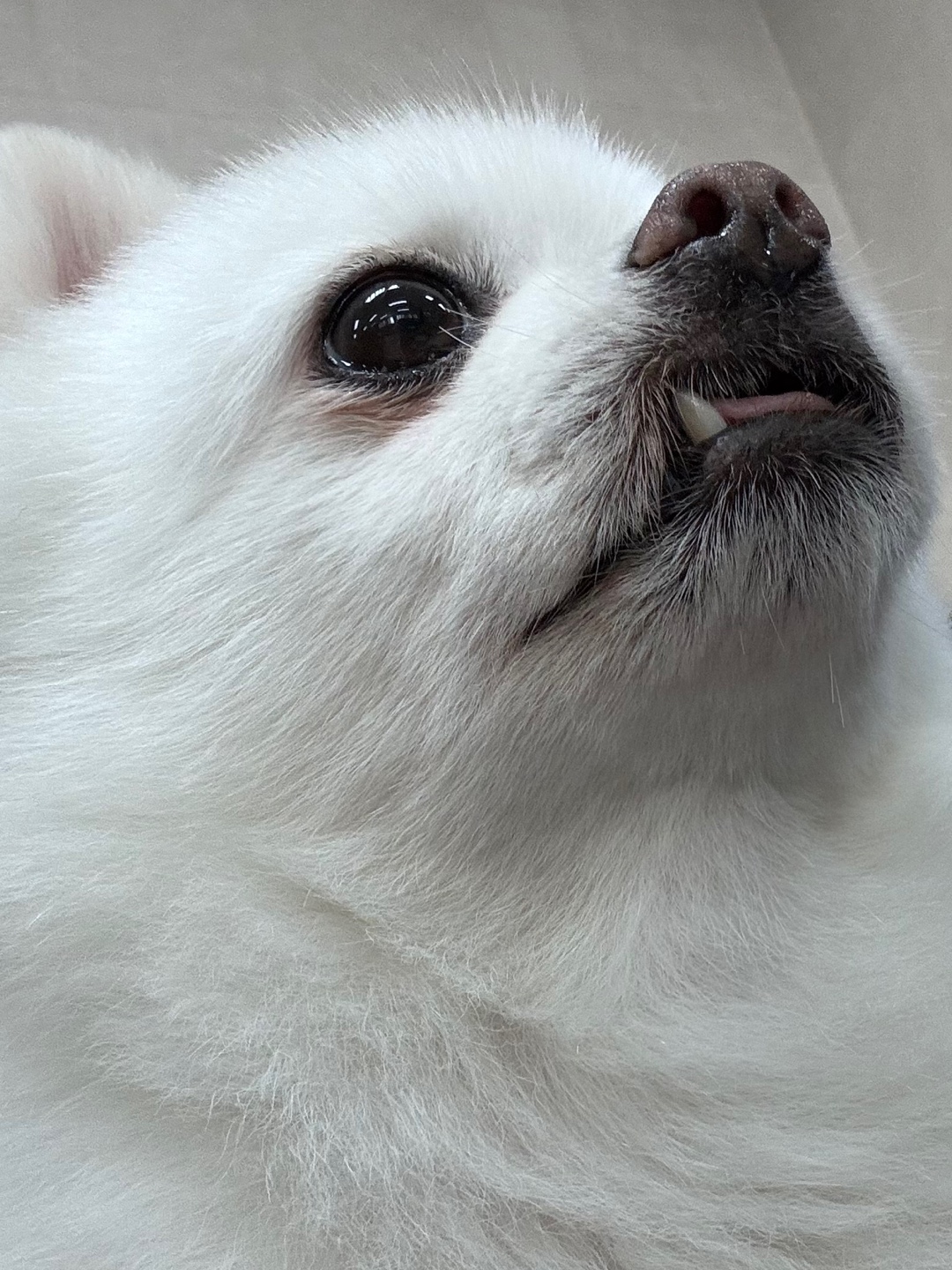 안녕하세요.  저 햇살(뽀동)이예요