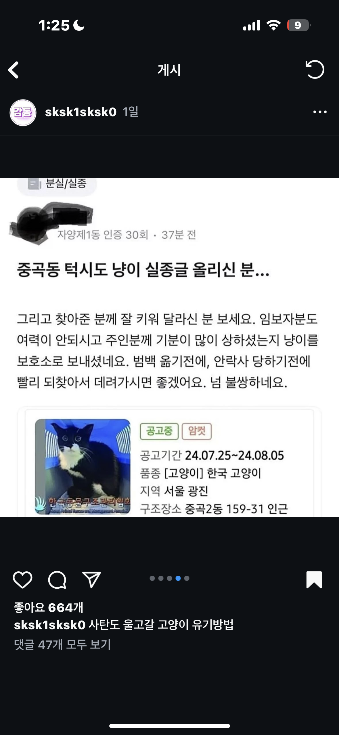 집냥이가 하루아침에 죽게생겼습니다