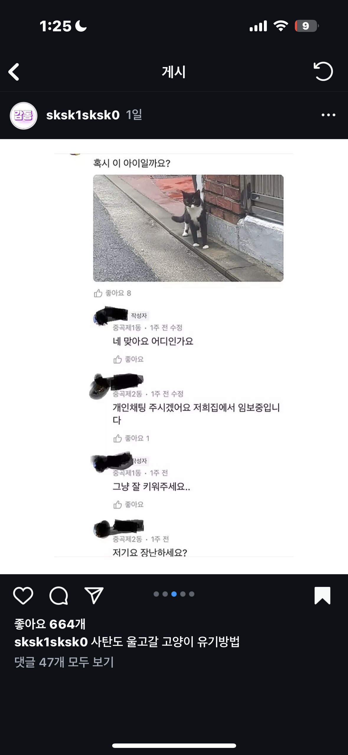 집냥이가 하루아침에 죽게생겼습니다