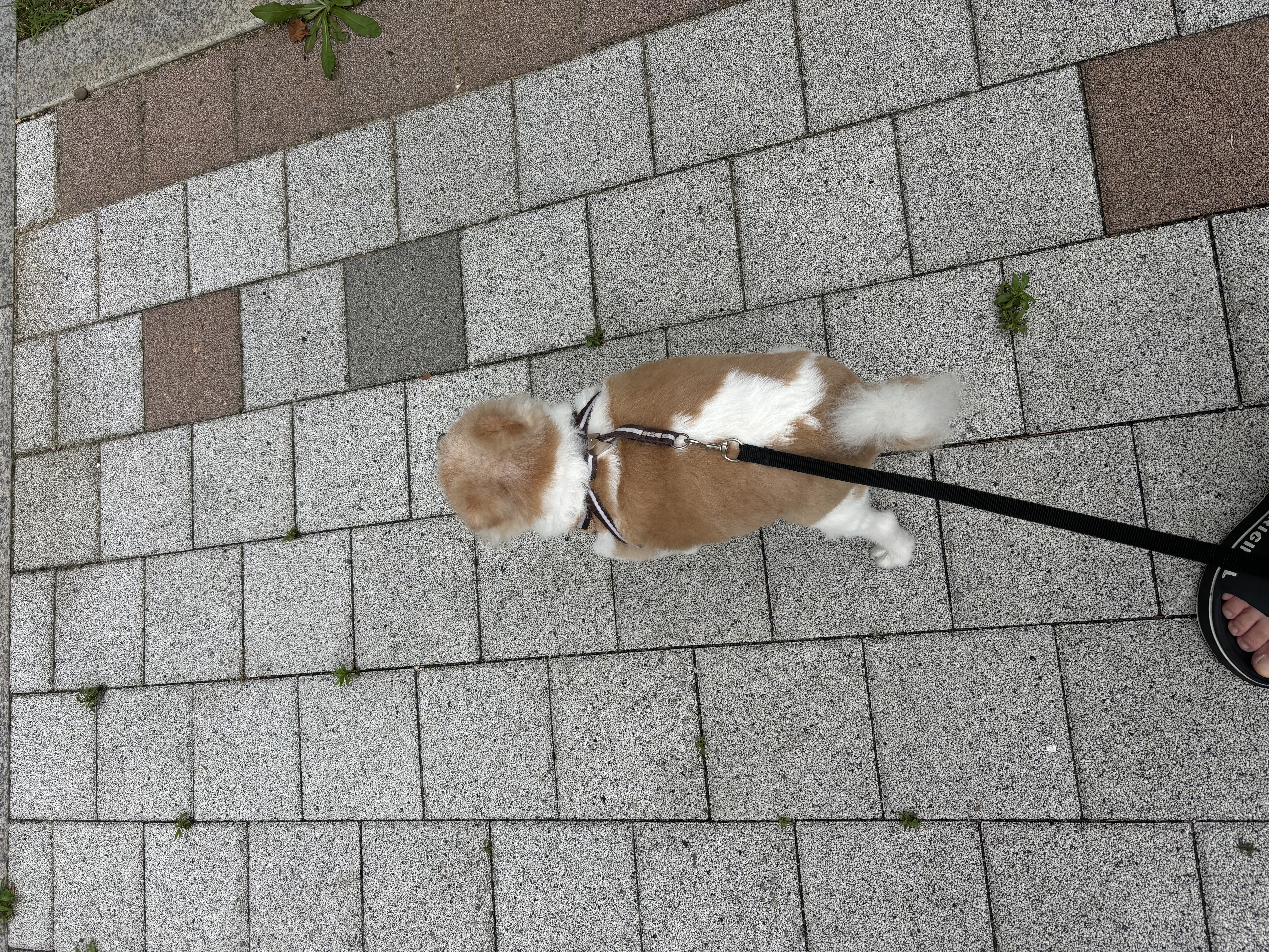 구포리 현맥스 근황 전해요 