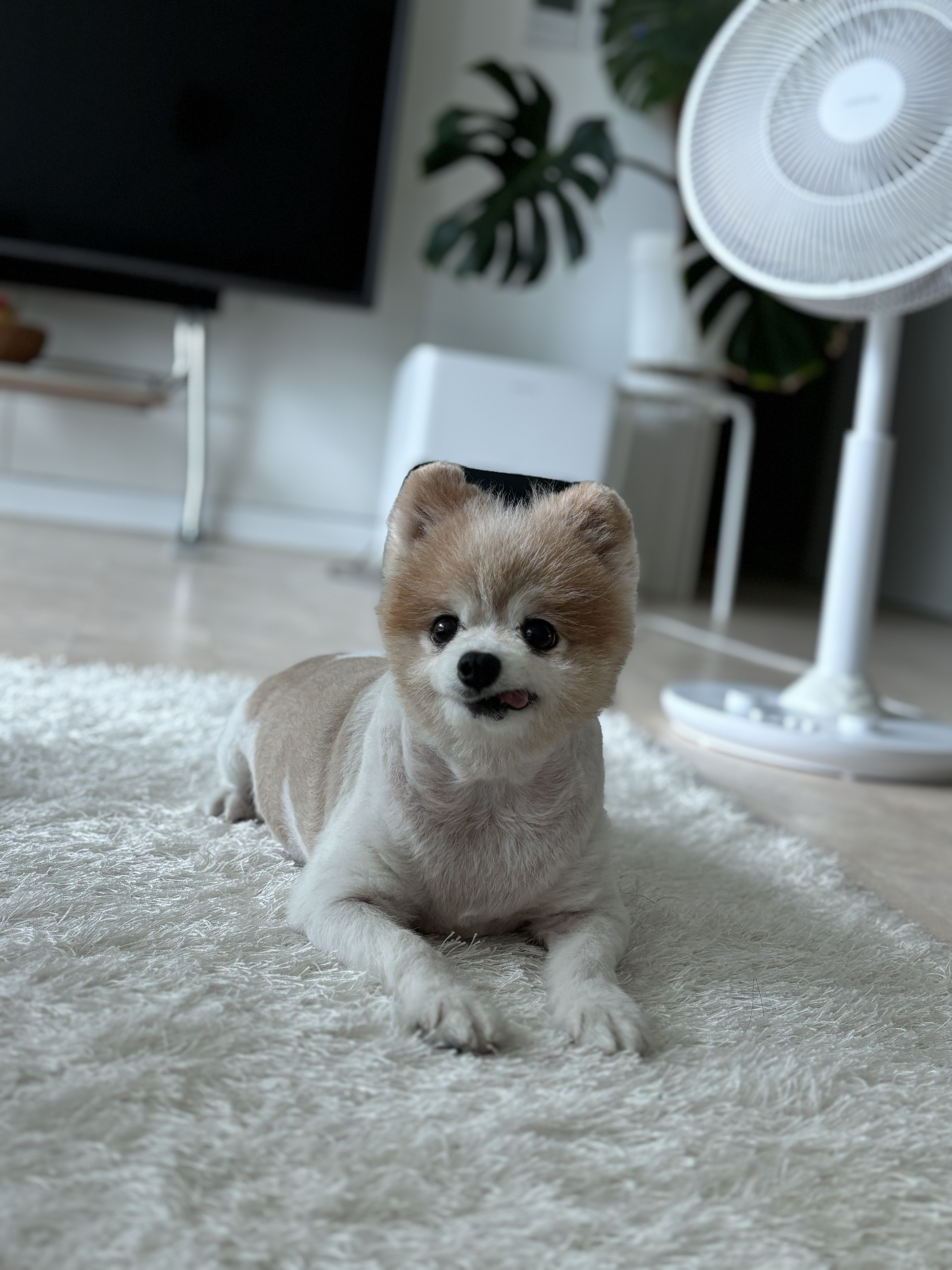 구포리 현맥스 근황 전해요 