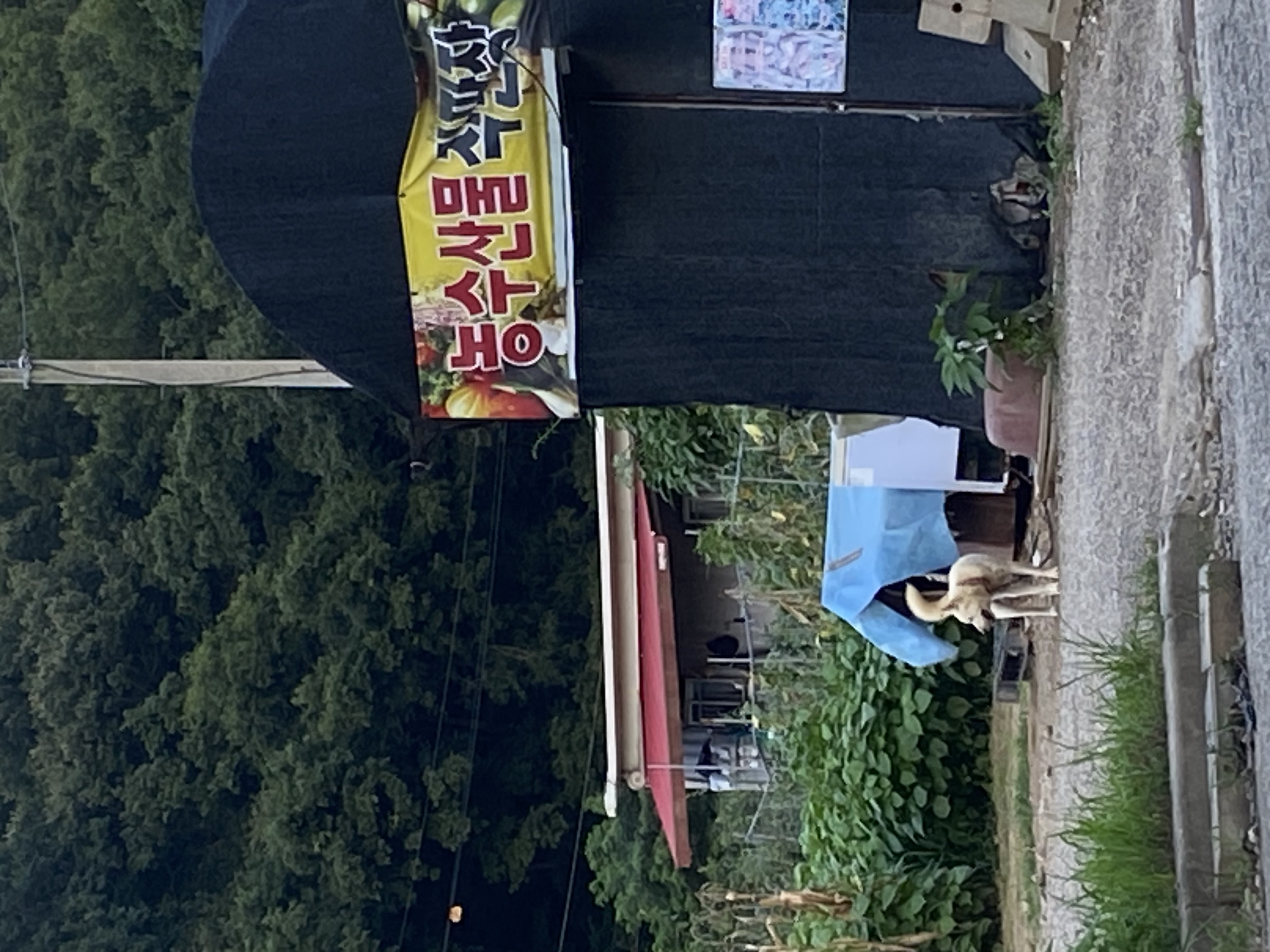 열악한 환경