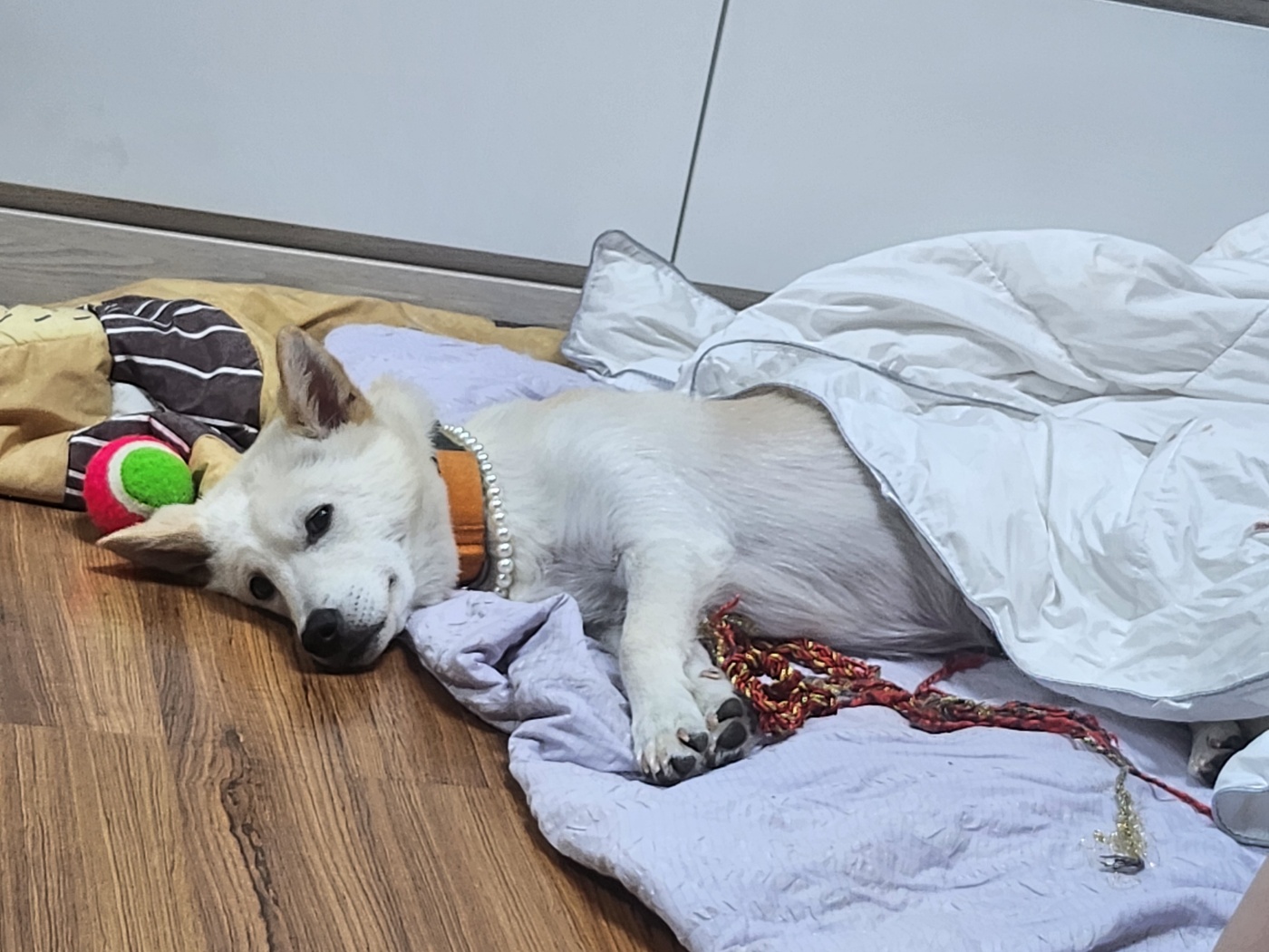 해온이 한 달 후 이야기