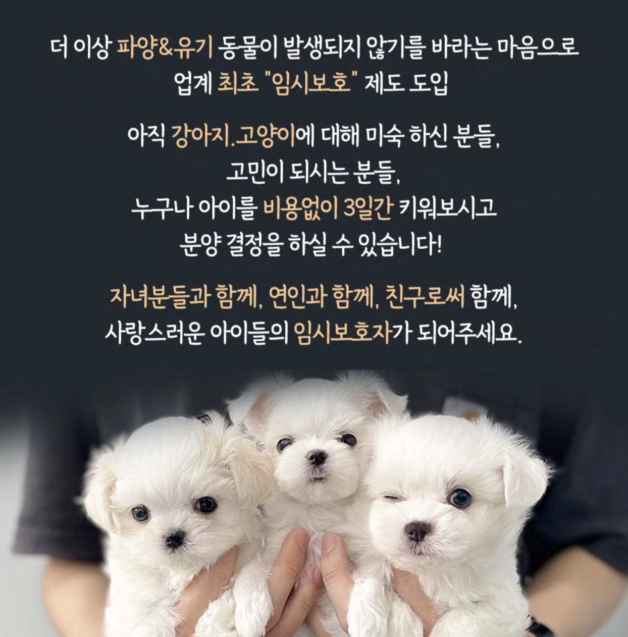 '파양 가능'한 점을 마케팅으로 내세운 펫샵