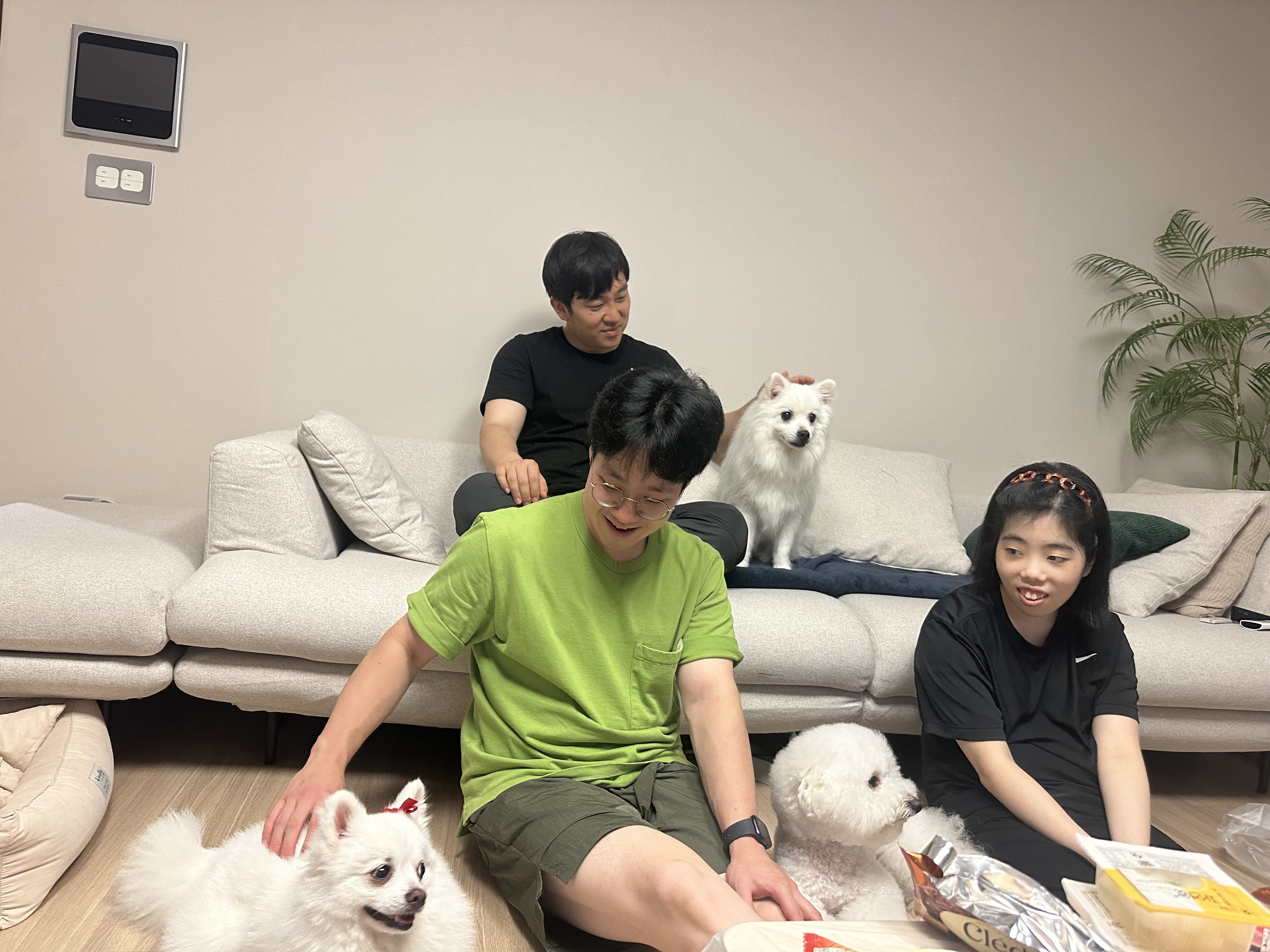 사랑둥이 하유 임보 1개월차입니다