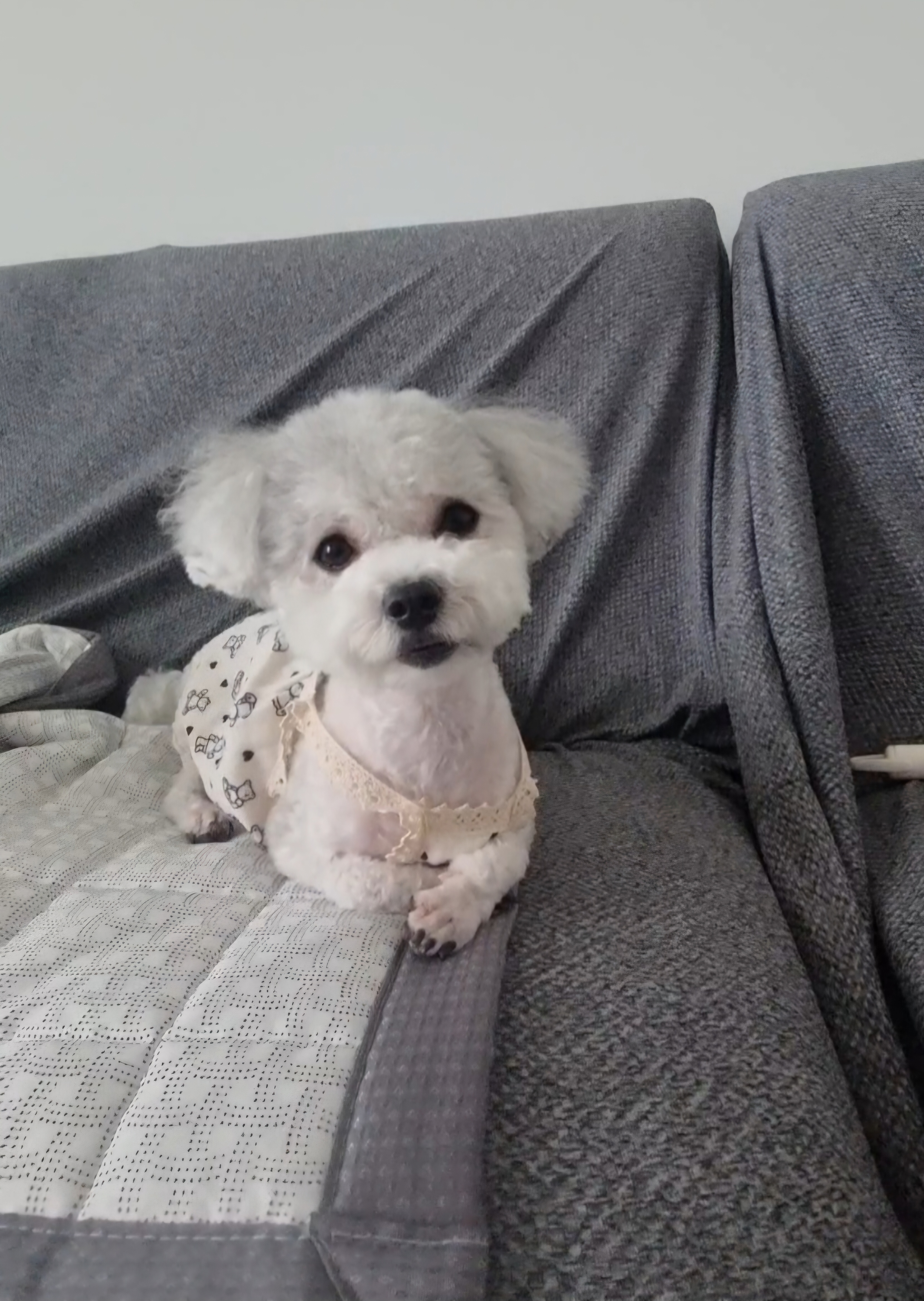 [임보] 함덕이🩵와의  5개월 