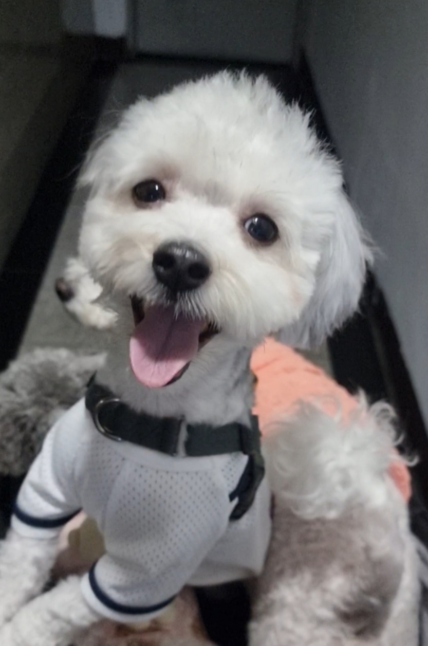 [임보] 함덕이🩵와의  5개월 