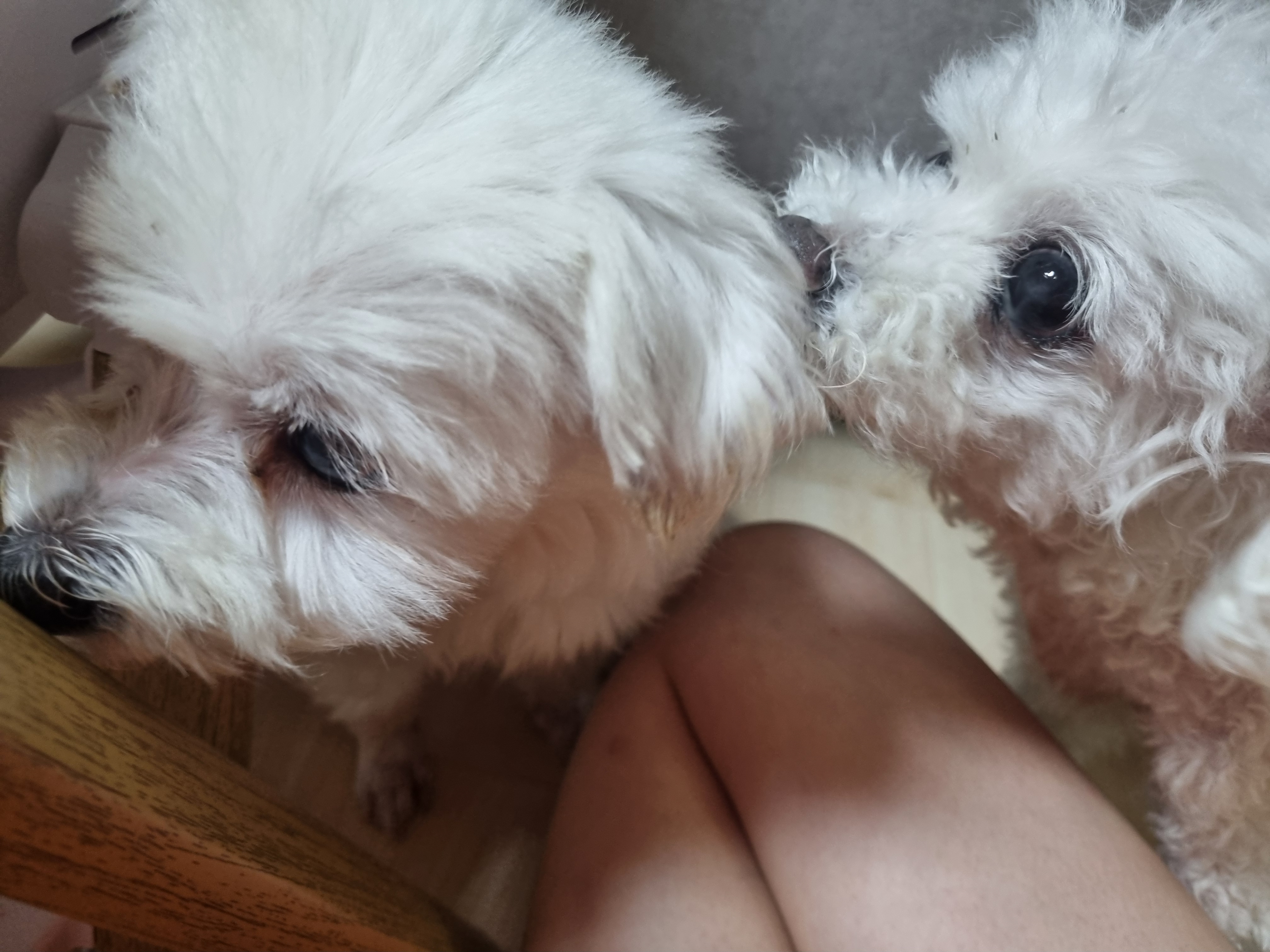 이곤이 소식 전해드려요 ♡