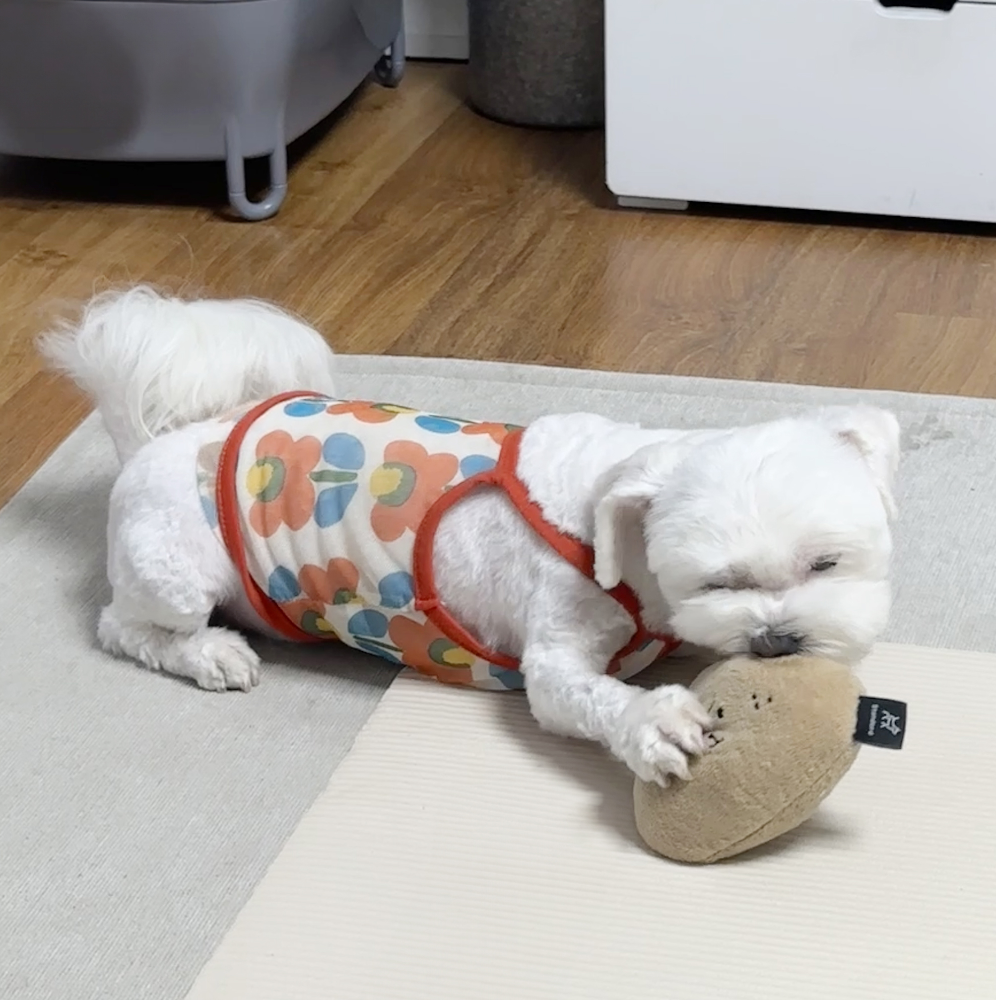 베베(말론)와의 일 년 