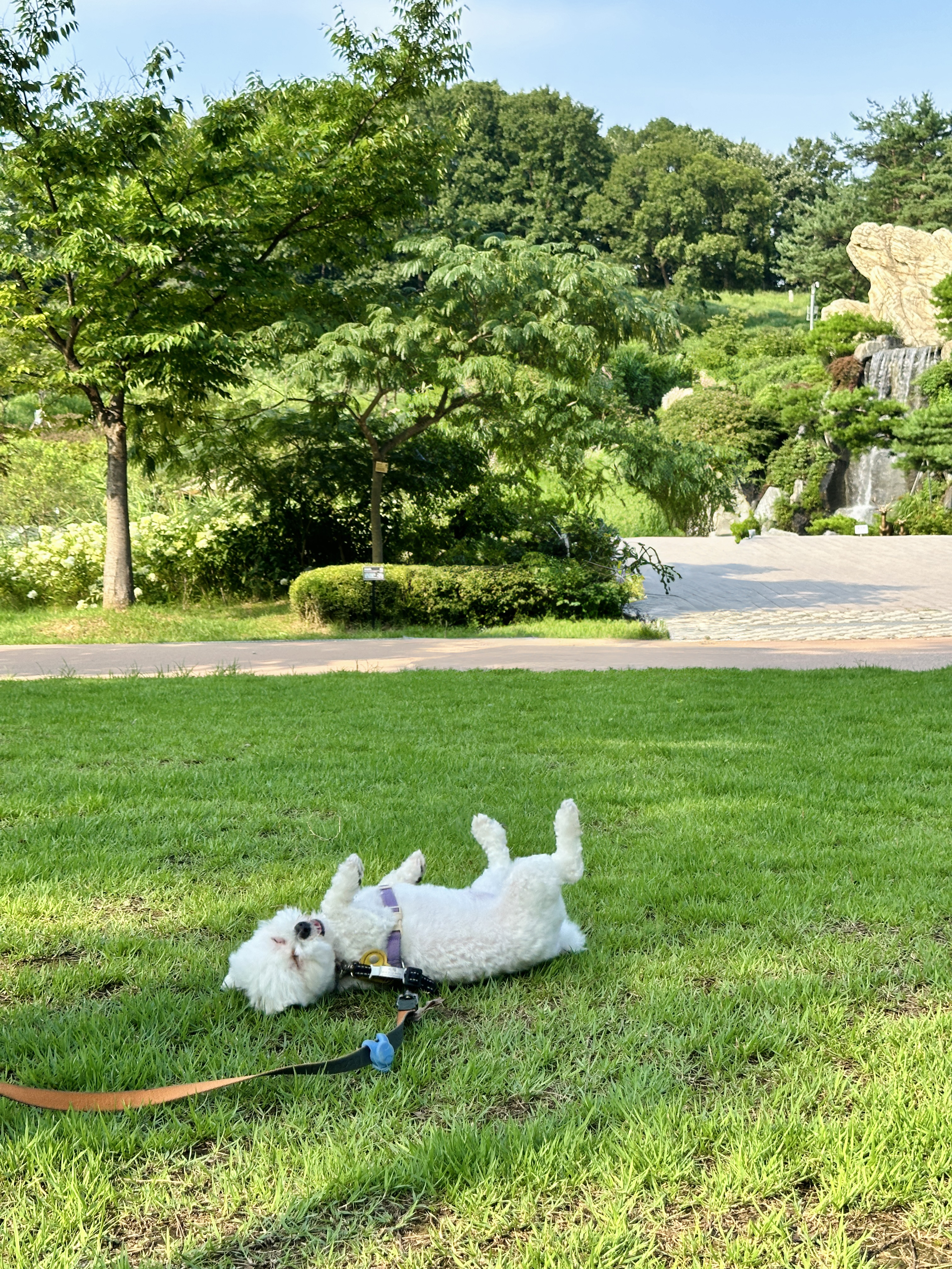 베베(말론)와의 일 년 