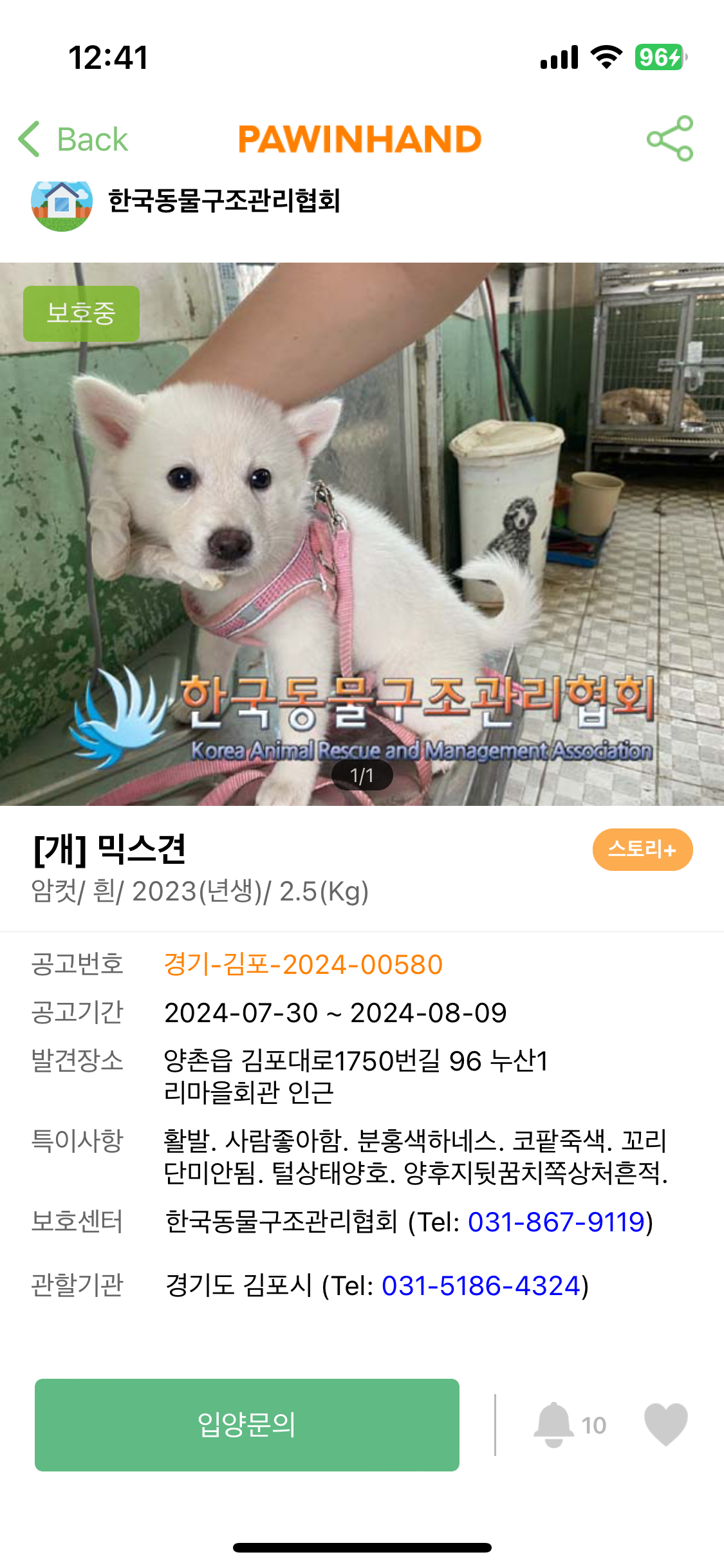 보호소에 있는 믹스견을 구조해주세요