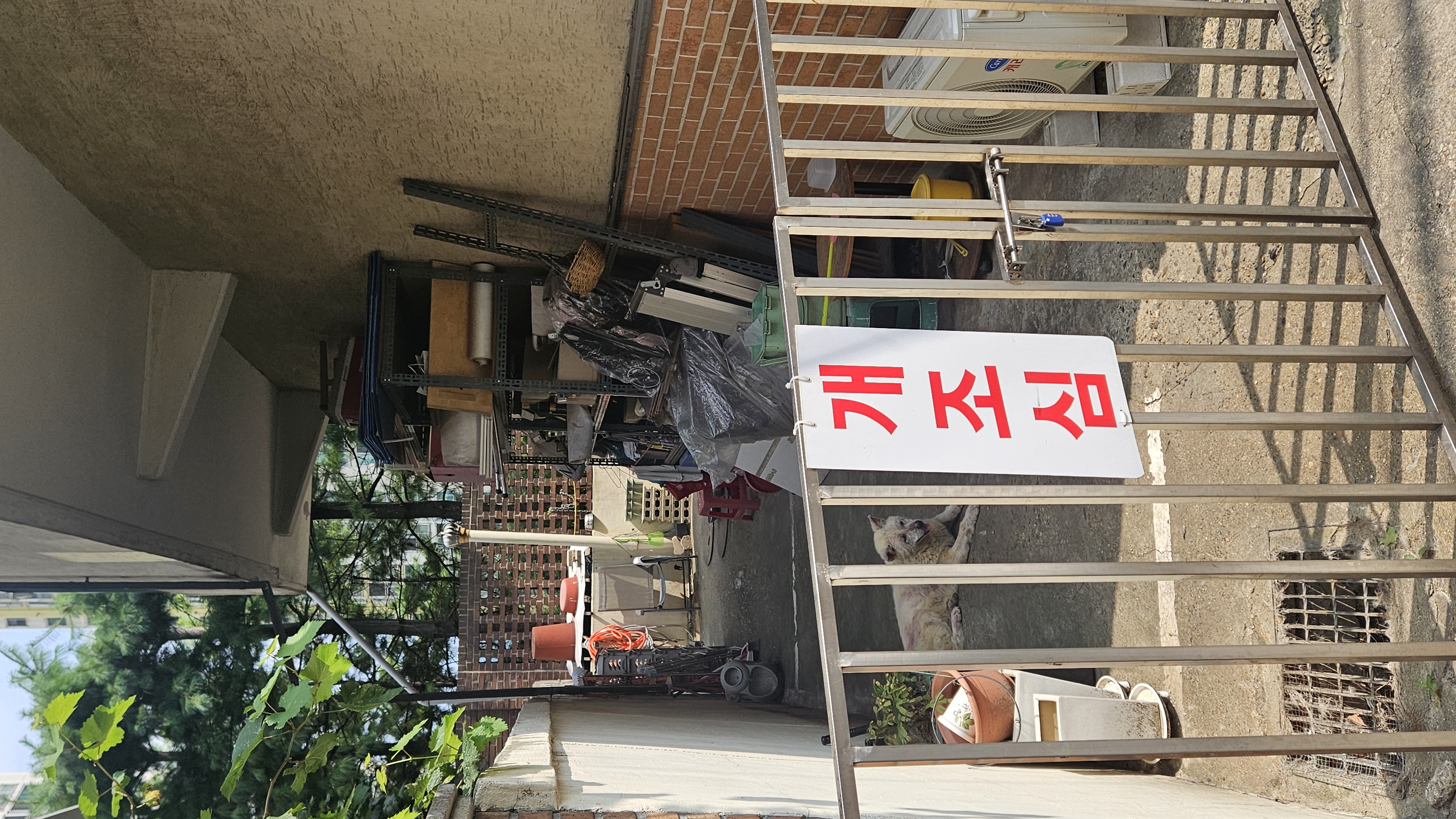 주인은 있는데 방치되어 너무 아파보이는 개가 있습니다.
