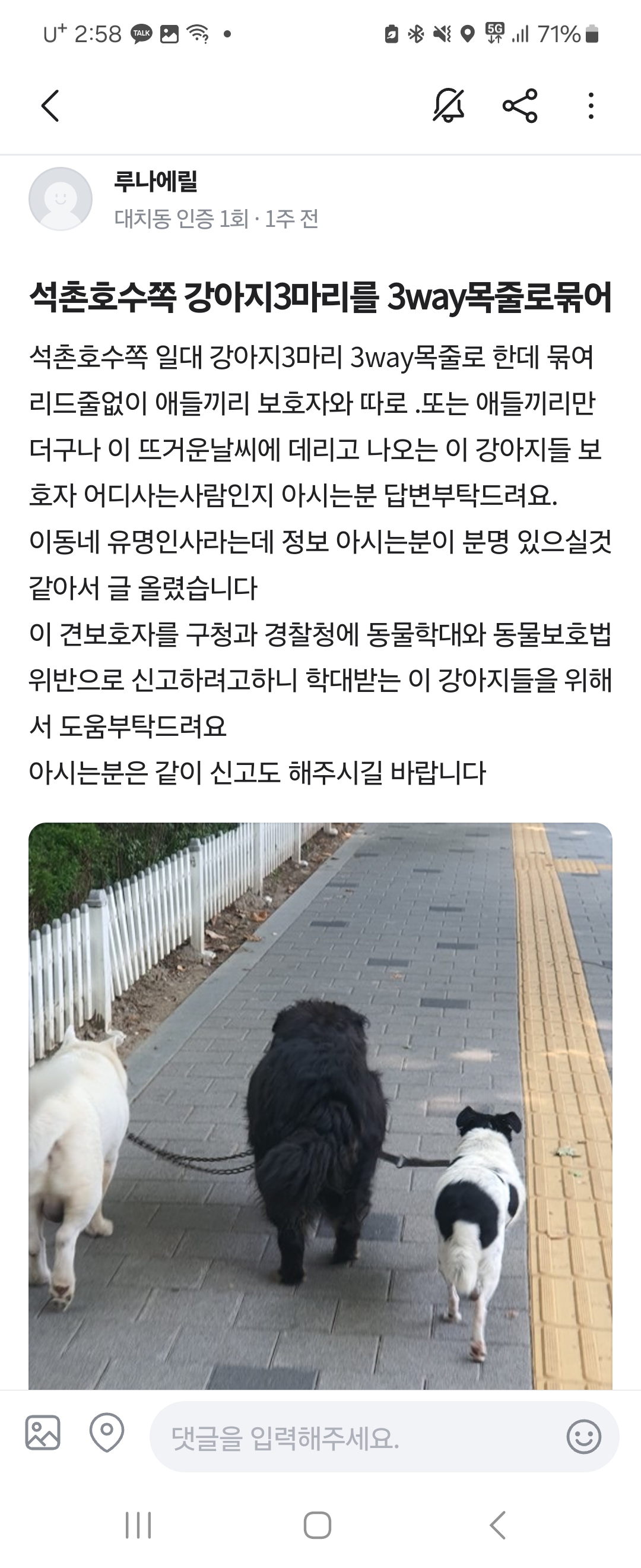 몇년째 지속되는 학대에서 구조해주세요