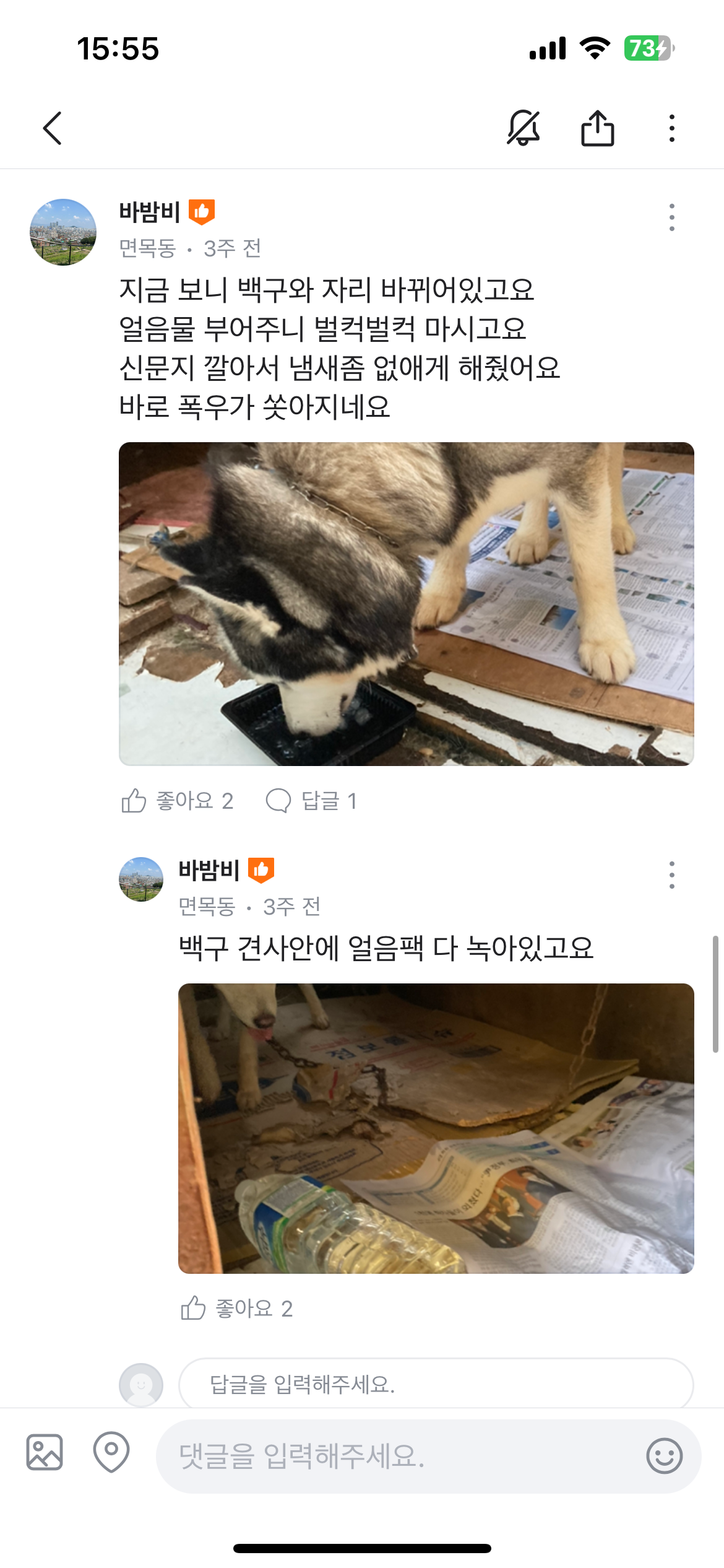13년 동안이나 매년 폭염 속 땡볕에서 고통스러워하는 허스키 두마리를 구해주세요ㅠㅠ