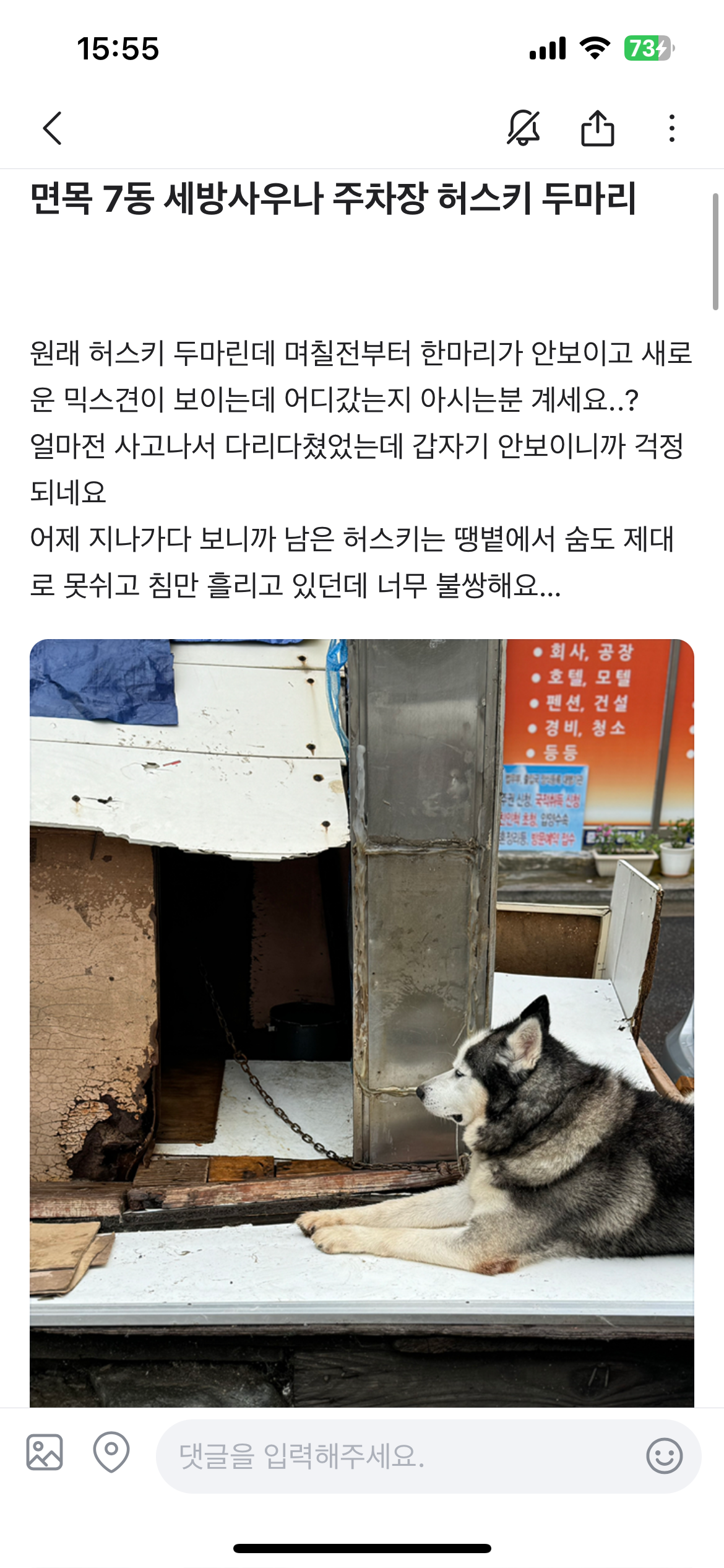 13년 동안이나 매년 폭염 속 땡볕에서 고통스러워하는 허스키 두마리를 구해주세요ㅠㅠ
